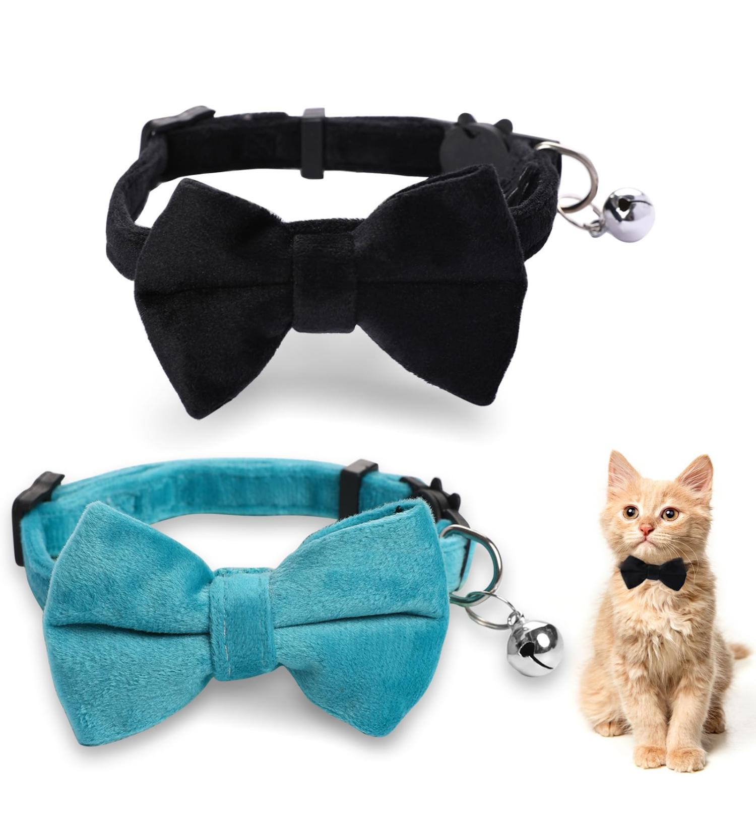 Shop Cute Breakaway Cat Collars with Bells - Personalized Neck Bands for Kittens & Puppies in Blue & Black - Ideal for Small Pets - Buy Online on GoSupps.com