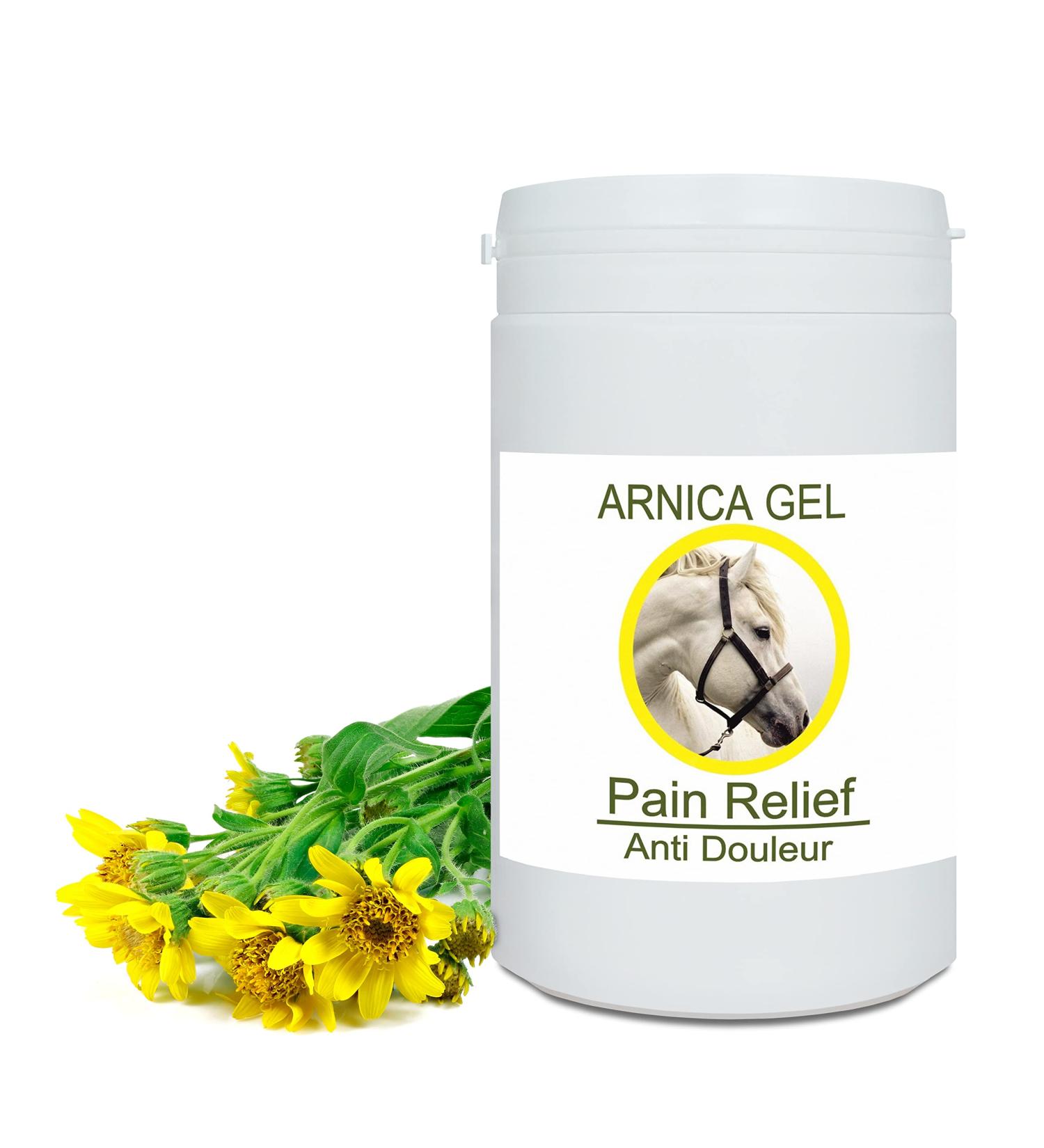 Vet 90% Arnica Gel Forte for Horses & Pets | Muscle & Joint Pain Relief | Natural Balm for Bruises & Swelling | 1000g - Buy Online on GoSupps.com
