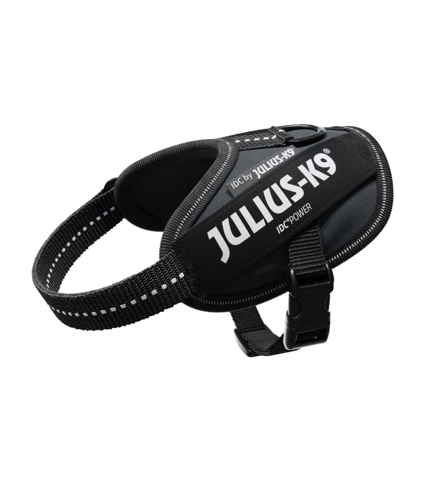 Buy IDC Powerharness 2XS/Baby 2 - Anthracite | International Shipping Available - Buy Online on GoSupps.com