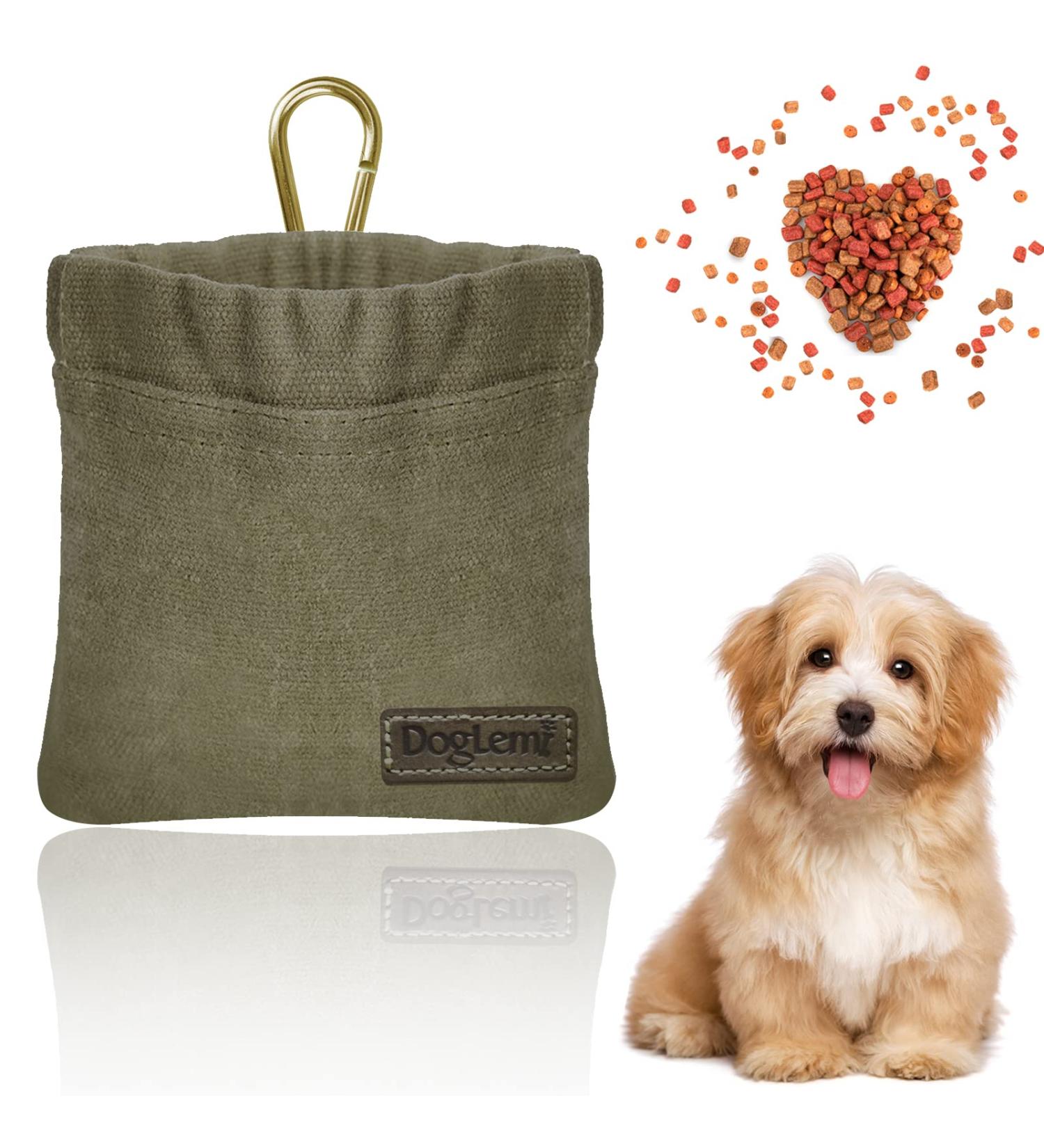 Hands-Free Dog Treat Bag with Automatic Closure - Small Food Bags for Dog Training | Puppy Treat Bag with Carabiner - Green - Buy Online on GoSupps.com