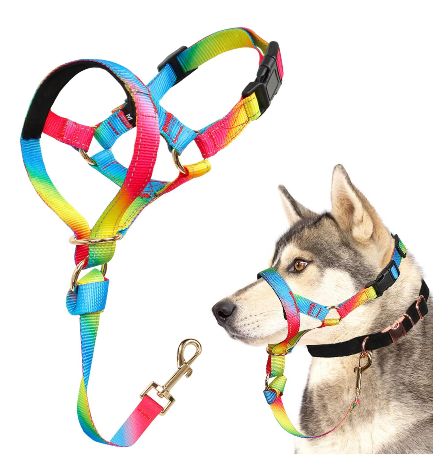 Barkeless Dog Collar - No Pulling Cute & Effective Training Halter for Small to Medium Dogs - Fantasy Rainbow Design - Buy Online on GoSupps.com