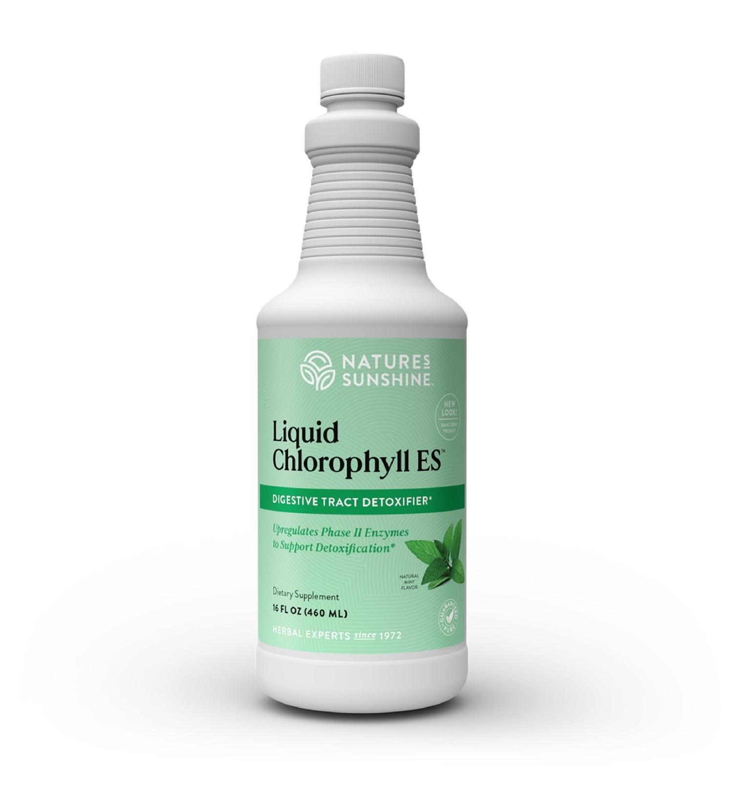 Nature's Sunshine Chlorophyll Liquid Extra Strength 16 fl. oz - Kosher Fresh Mint Chlorophyllin for Detox & Digestive Support - Buy Online on GoSupps.com