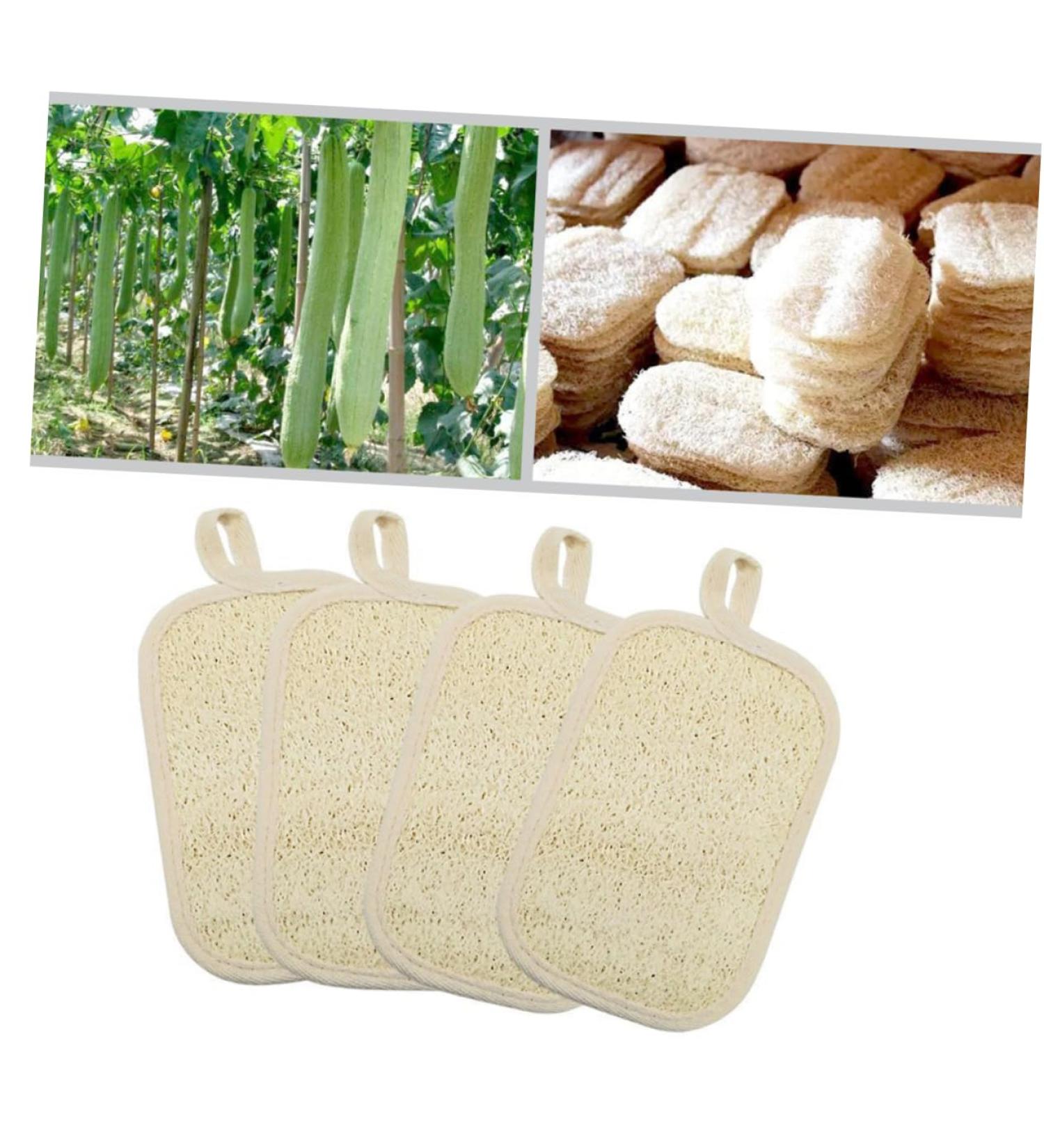 Ipetboom Loofah Sponge Glove - Exfoliating Mitt for Ultimate Shower Experience | International Shipping Available - Buy Online on GoSupps.com