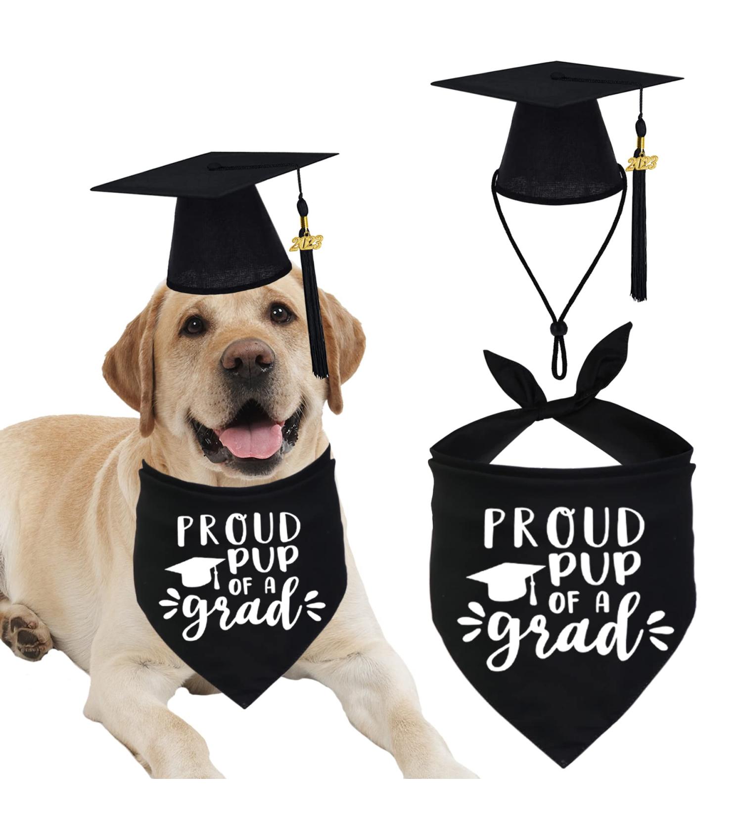 Dog Graduation Cap & Bandana Set - 2023 Black Tassel Graduation Outfit for Proud Pup of A Grad - Buy Online on GoSupps.com