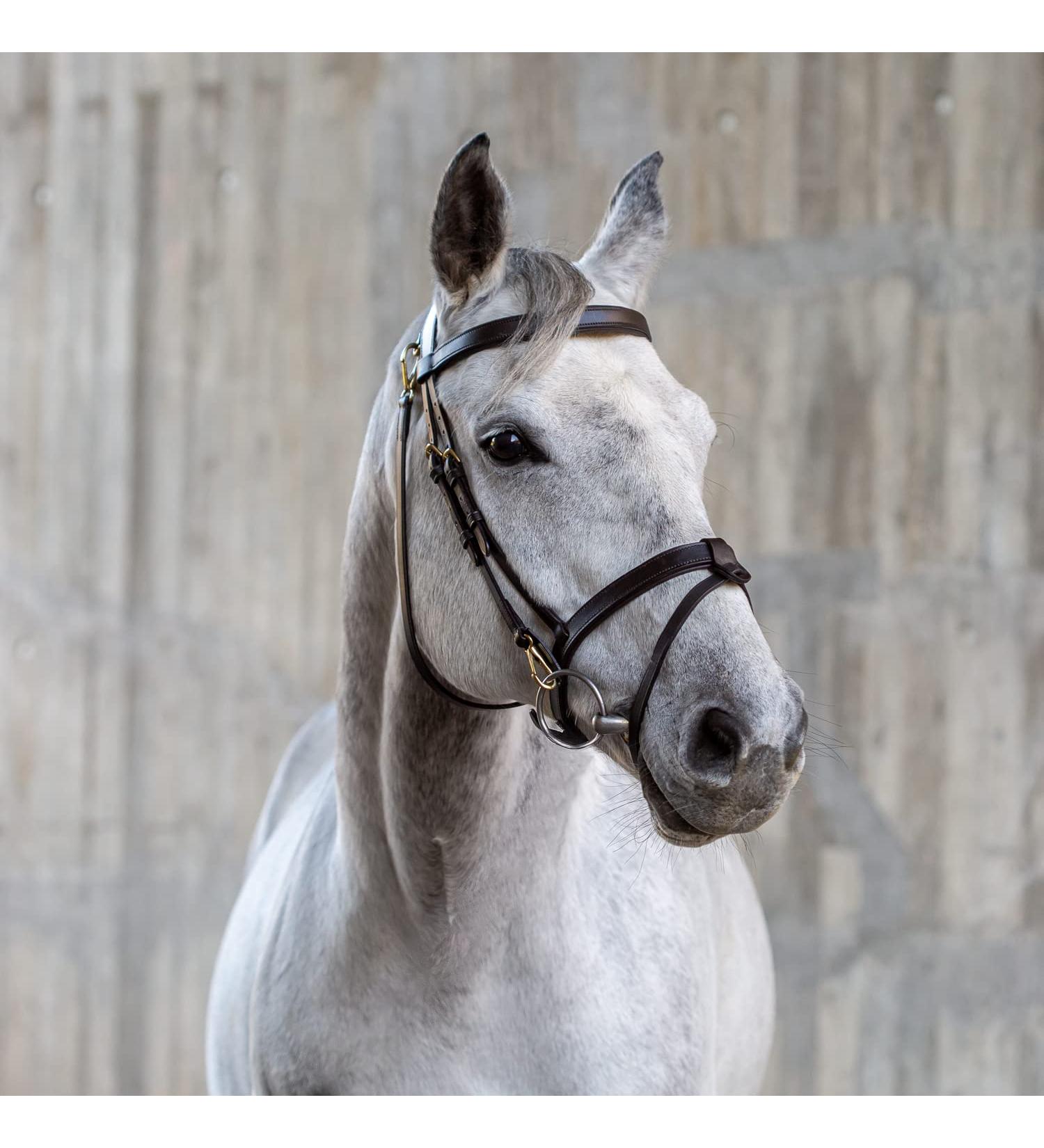 Buy Sunride English Combined Bridle Berlin with Reins - Soft Real Leather Adjustable & Anatomical (Cob Brown) | International Shipping Available - Buy Online on GoSupps.com