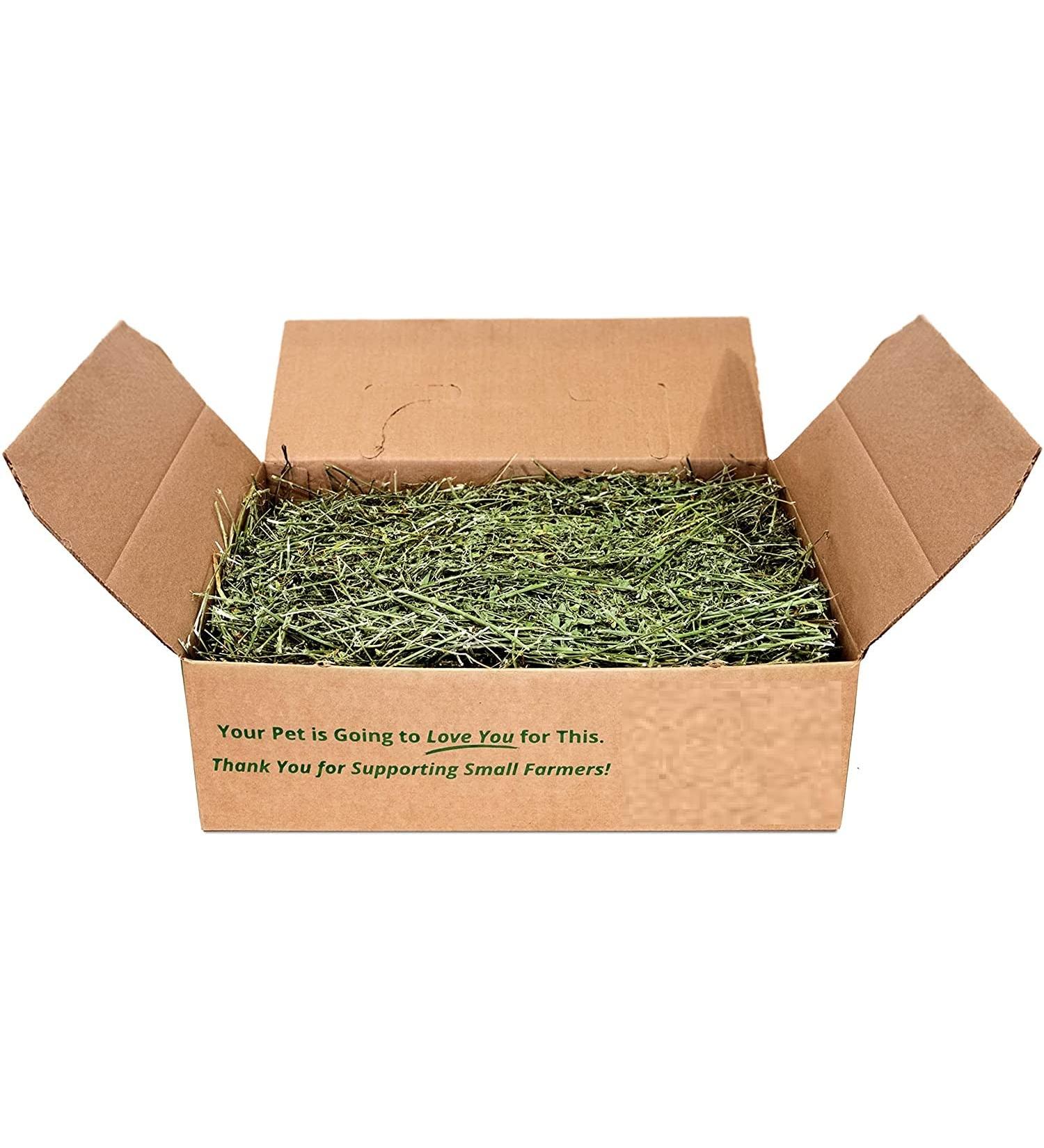 Timothy Rabbit Hay - Fresh Feeding Hay for Rabbits & Guinea Pigs Green Dust-Free Long-Stem Sun-Dried Feeding Hay 100% Natural Food (500 Gram) 500.00 g (Pack of 1) - Buy Online on GoSupps.com