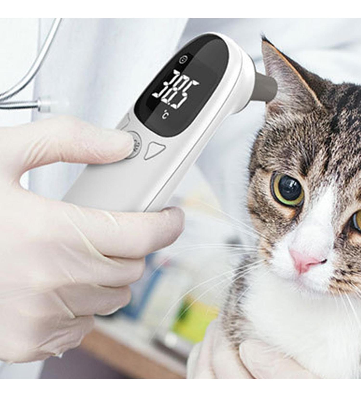 Pet Thermometers For Cats Ear Thermometers For Dogs Dog Tech Supplies Veterinary Thermometers Accurate Puppy Fever Detection Device Provides - Buy Online on GoSupps.com