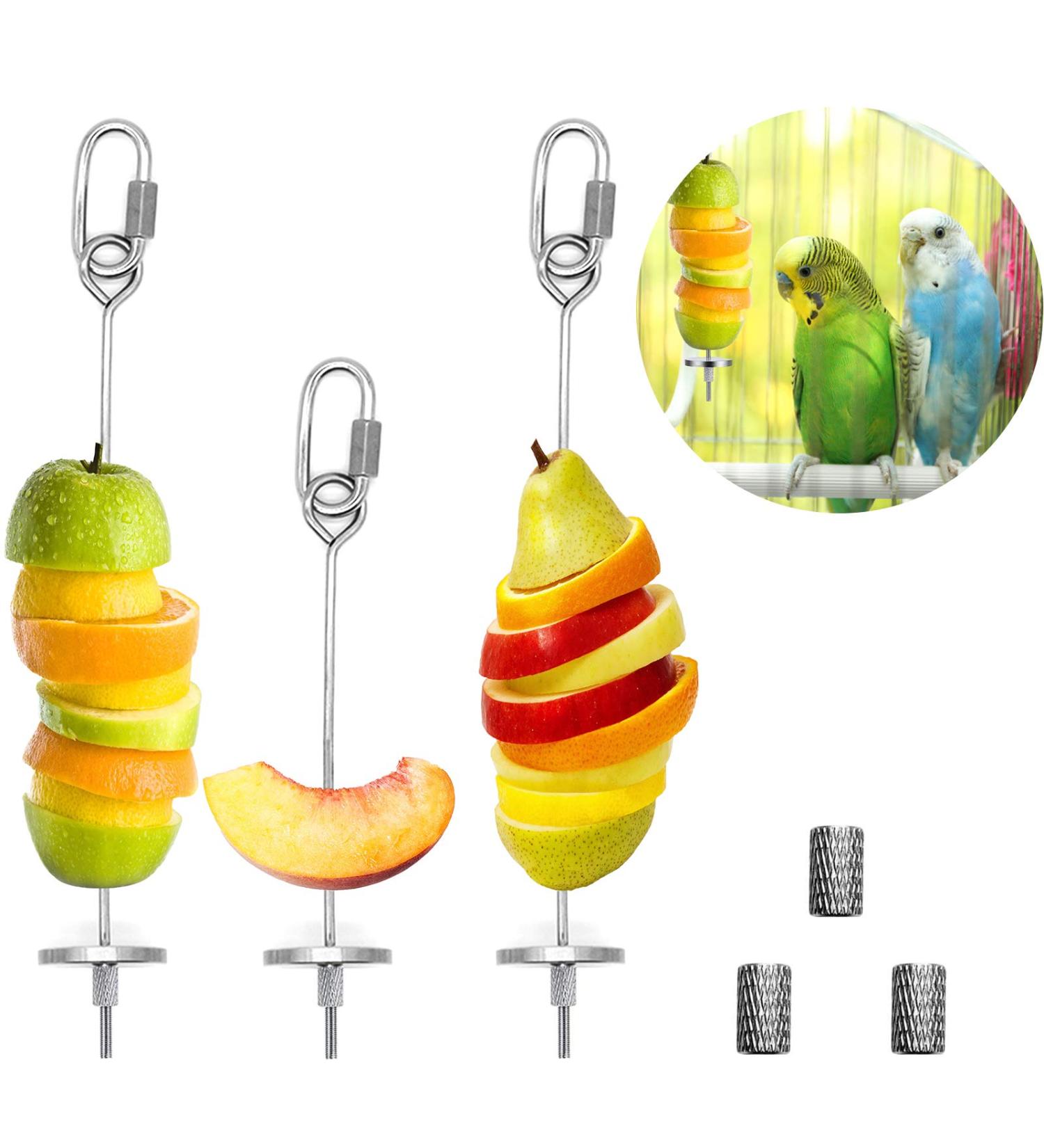 3-Pack Stainless Steel Parrot Spit & Bird Toy Holder for Nymphensittich & Budgies - Feed Hang & Treat Your Pets - Buy Online on GoSupps.com