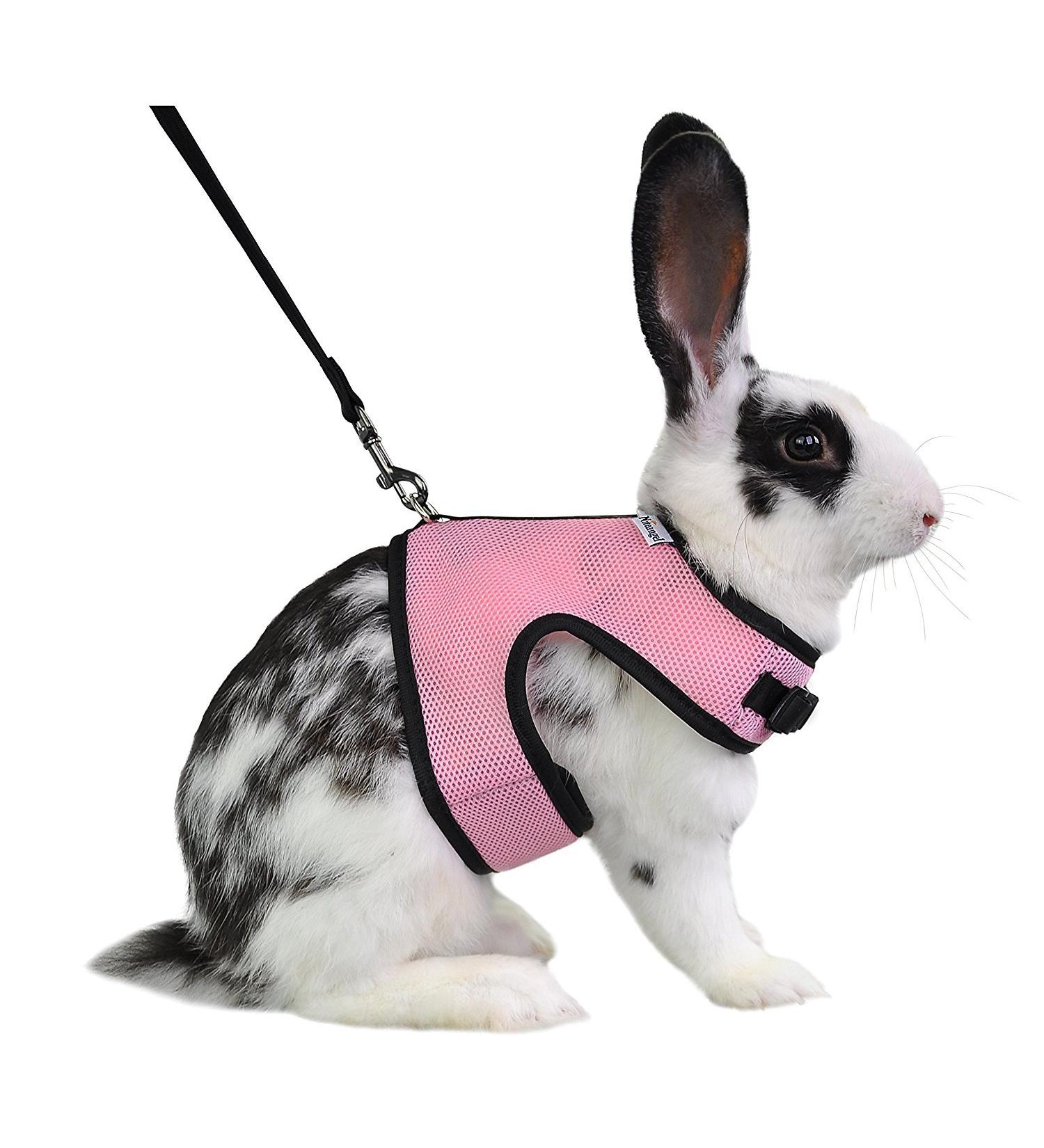 Niteangel Adjustable Soft Harness & Elastic Leash for Rabbits - Large Pink | Comfortable & Safe Pet Gear - Buy Online on GoSupps.com