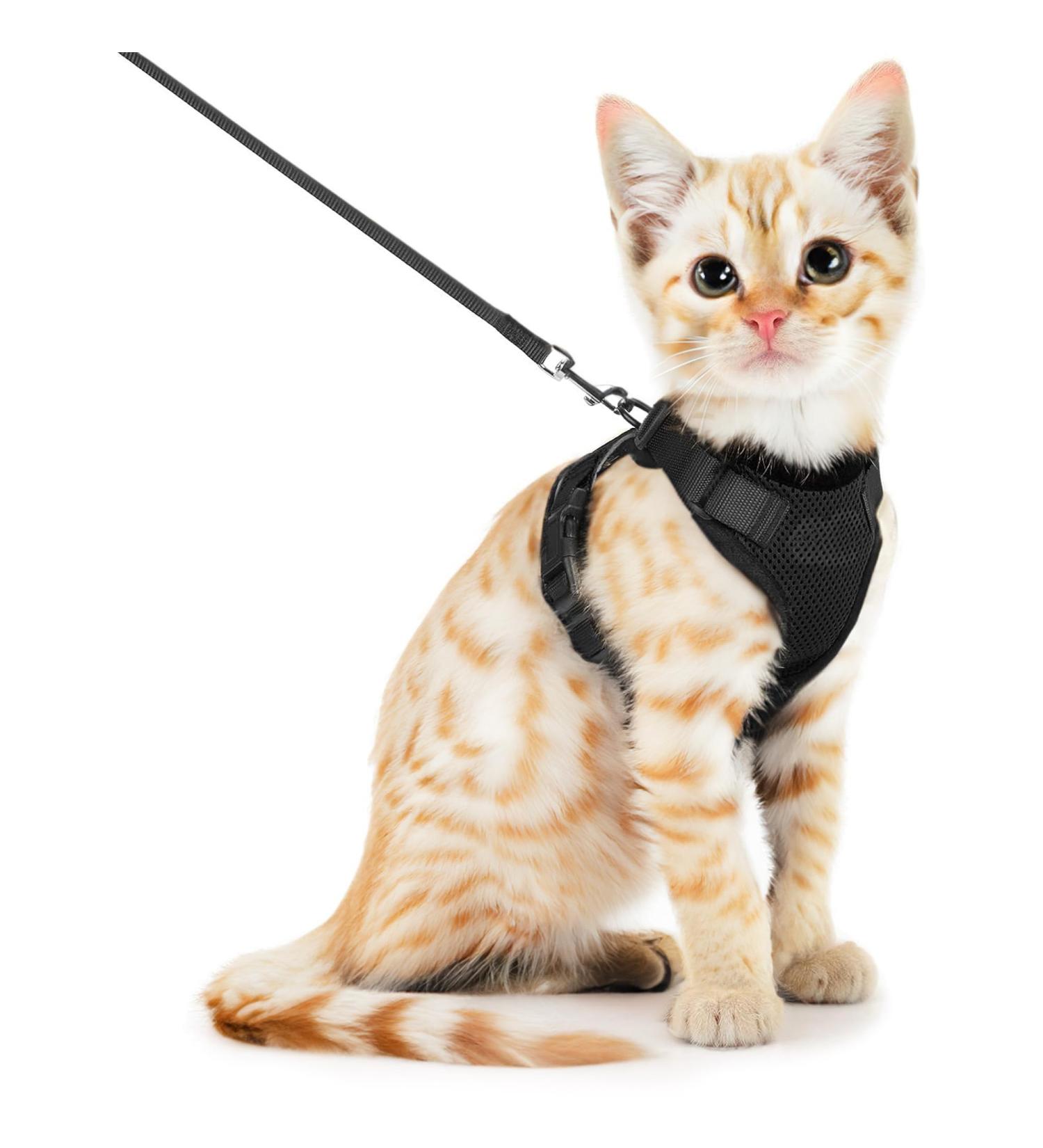SOKANA Cat Harness and Lead Set for Walking Escape Proof - Lightweight Secure Kitten Harness and Lead Set also for Dogs Puppy Pet Small Size | Black - Buy Online on GoSupps.com