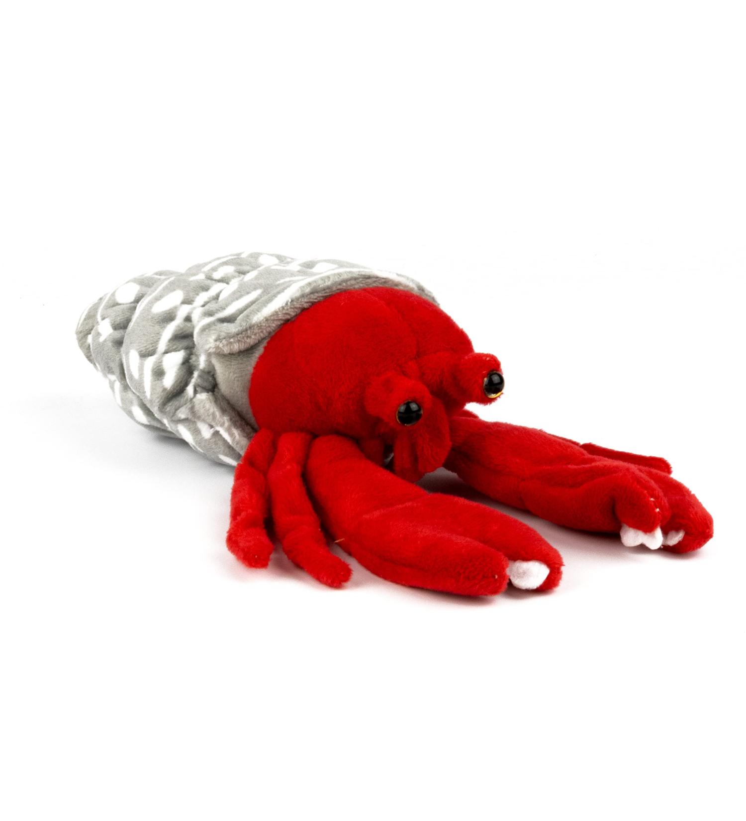 Zappi Co Hermit Crab Plush Toy - Safari Animals Collection (25cm) - Buy Online on GoSupps.com