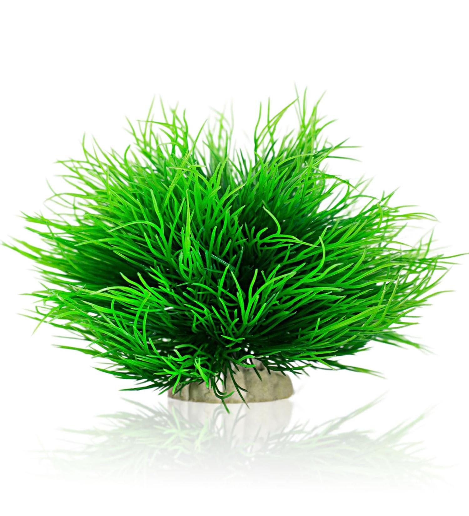 TAOMYPETS Plastic Aquarium Plants - Coral Reef Ornaments for Fish Tanks | Green Aquarium Decor for Vibrant Aquatic Life - Buy Online on GoSupps.com