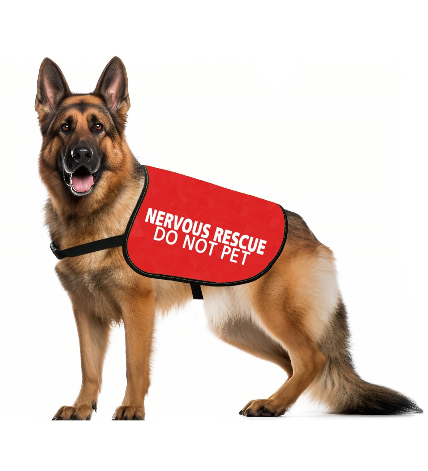 Nervous Rescue Dog Jacket Vest Nervous Rescue Do Not Pet Dog Vest Dog Walking Slogan Warning Vest (Nervous Pet M) - Buy Online on GoSupps.com