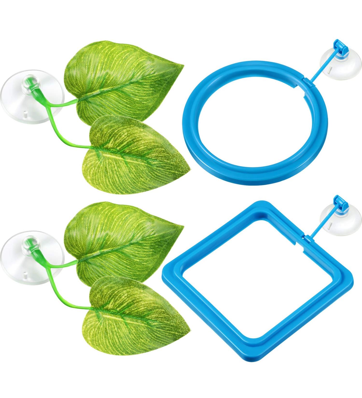 Aquarium Feeding Set: Fish Feeding Ring, Food Feeder, Spawning Bed, Betta Leaf Pad - 4 Pieces - Buy Online on GoSupps.com
