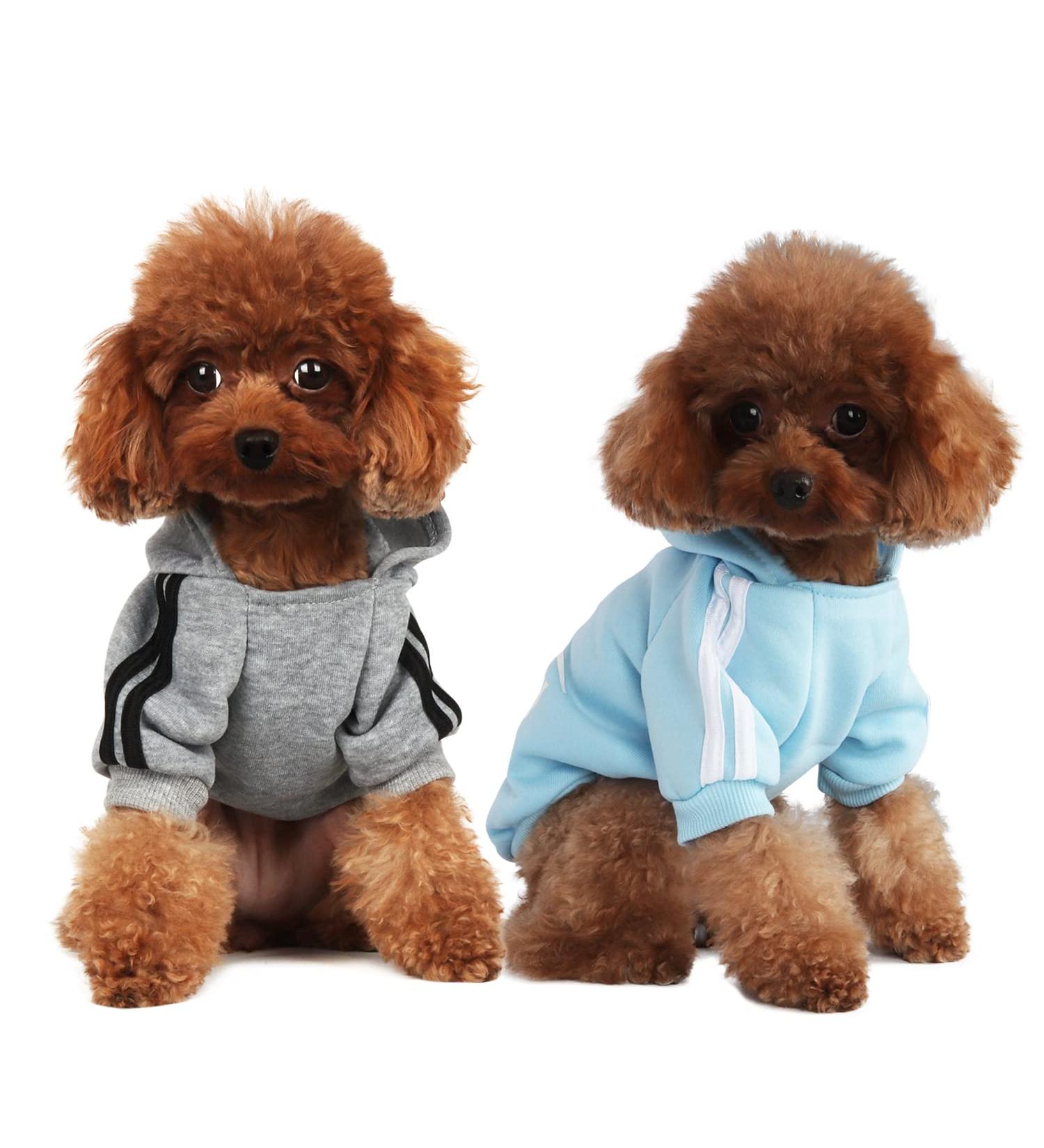 Fashion Dog Hoodie - Pure Cotton Sweatshirt for Small & Medium Dogs | Stylish Streetwear Outfit for Dogs and Cats - Gray/Light Blue - Buy Online on GoSupps.com