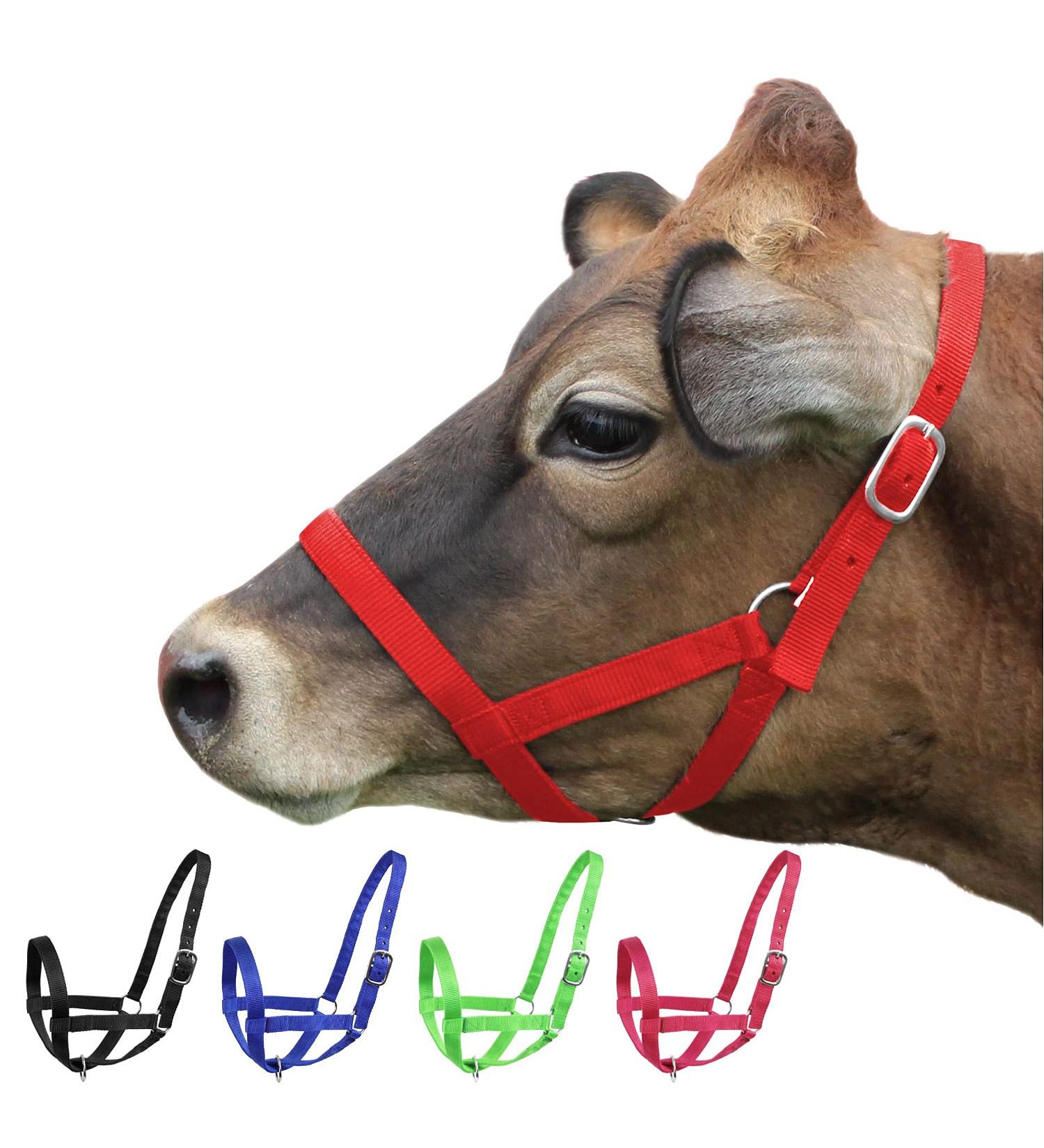 Derby Originals Adjustable Nylon Livestock Cattle Halter - Large (800-1400lbs) Red - Buy Online on GoSupps.com