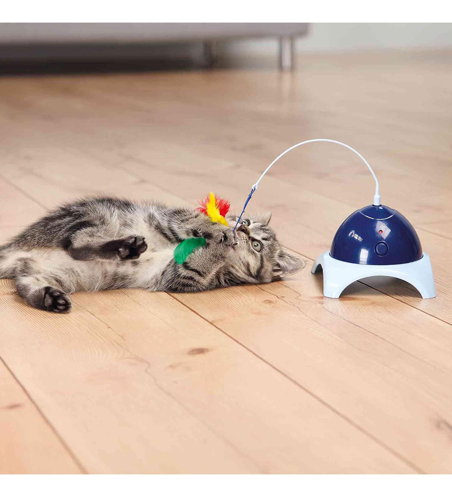 Trixie 4567 Catch Me Motor Remote Control - Buy Online Now - Buy Online on GoSupps.com