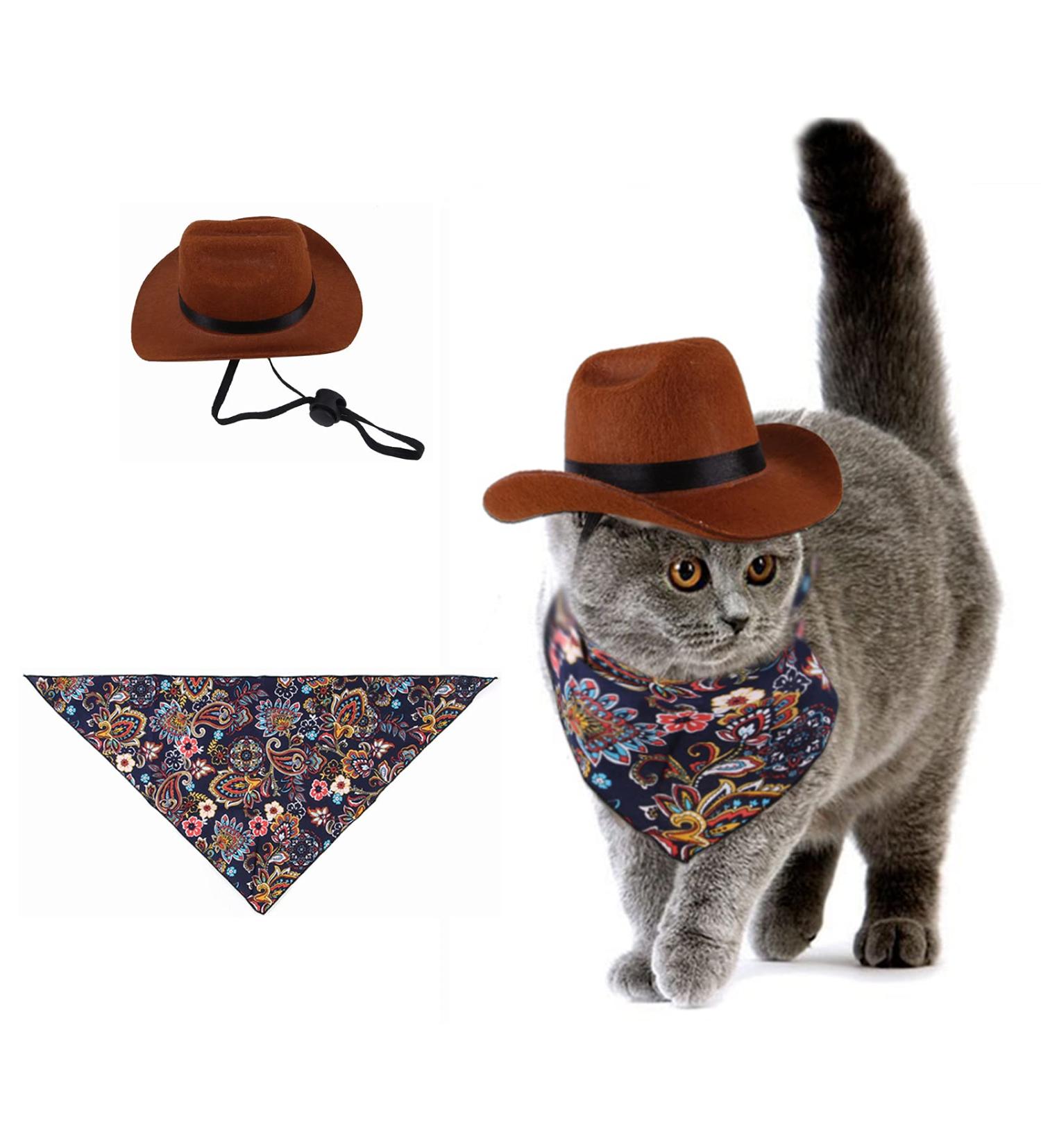 Hacraho Pet Cowboy Costume | Adjustable Dog Cowboy Hat & Blue Paisley Bandana for Small Dogs & Cats - Western Accessories & Photo Props - Buy Online on GoSupps.com