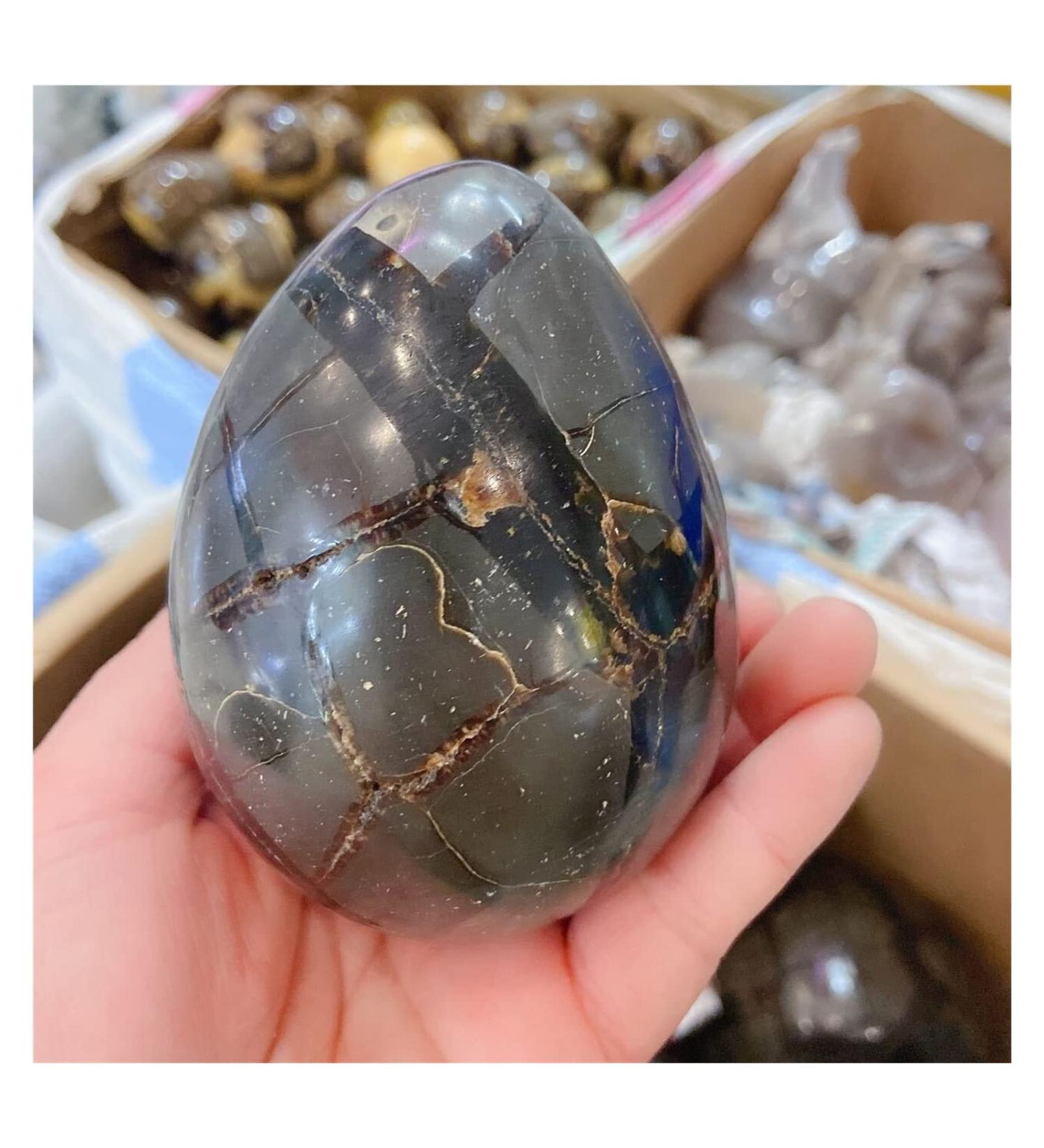 Natural Crystal Rough Crystal 1pcs 900-1.1kg Natural Curvature of The Furnishing Articles Turtle Grain Stone Stones Ball Septarian Nodule Crystal Quartz - Buy Online on GoSupps.com