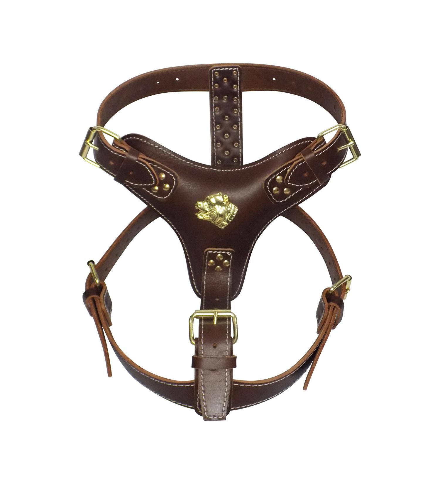 Extra Large Heavy Duty Brown Leather Dog Harness with Gold Fittings and American Bully Head Motif