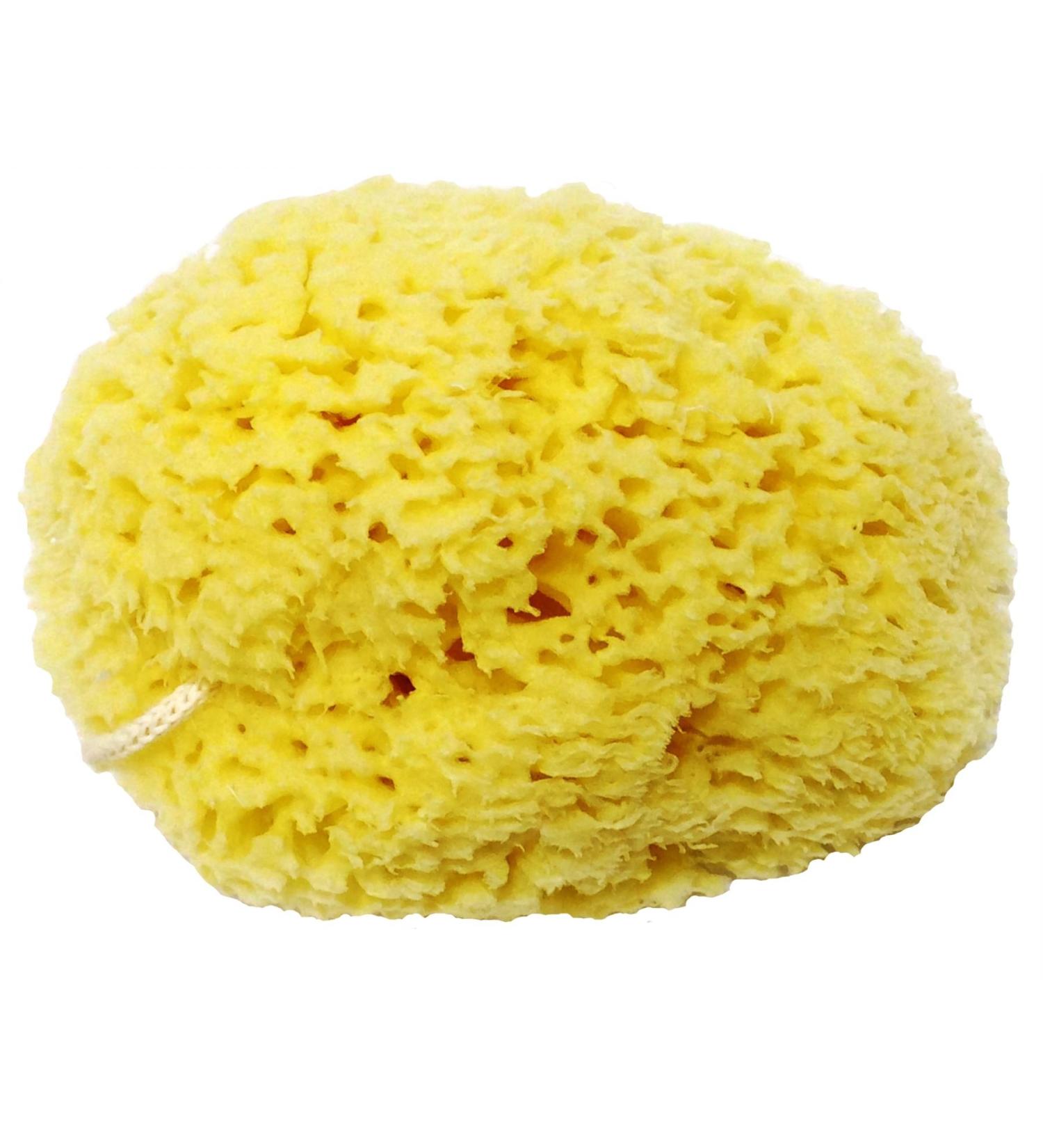 Honeycomb Natural Sea Sponge - Strong and Durable - Suitable for Both Children and Adults for use in Bathing Cleansing exfoliating and applying Cosmetics 13 cm - Buy Online on GoSupps.com