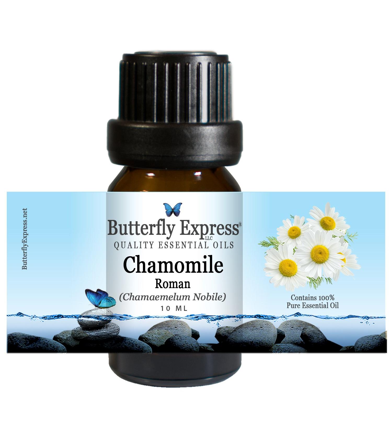 ChamomileRoman Essential Oil 10ml - 100% Pure by Butterfly Express