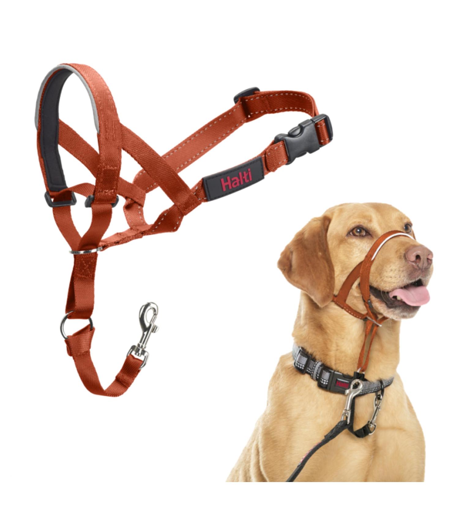 Halti Head Harness for Medium Dogs - Prevents Pulling Adjustable Light & Padded - Anti-Pull Neck Band (Size 3 Dark Orange) - International Shipping Available - Buy Online on GoSupps.com