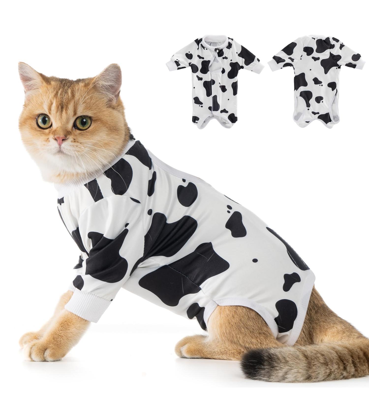 Avont Katzenbody: Optimal Recovery Suit for Cats | Post-Op Castration Spay & Wound Protection - Buy Online on GoSupps.com