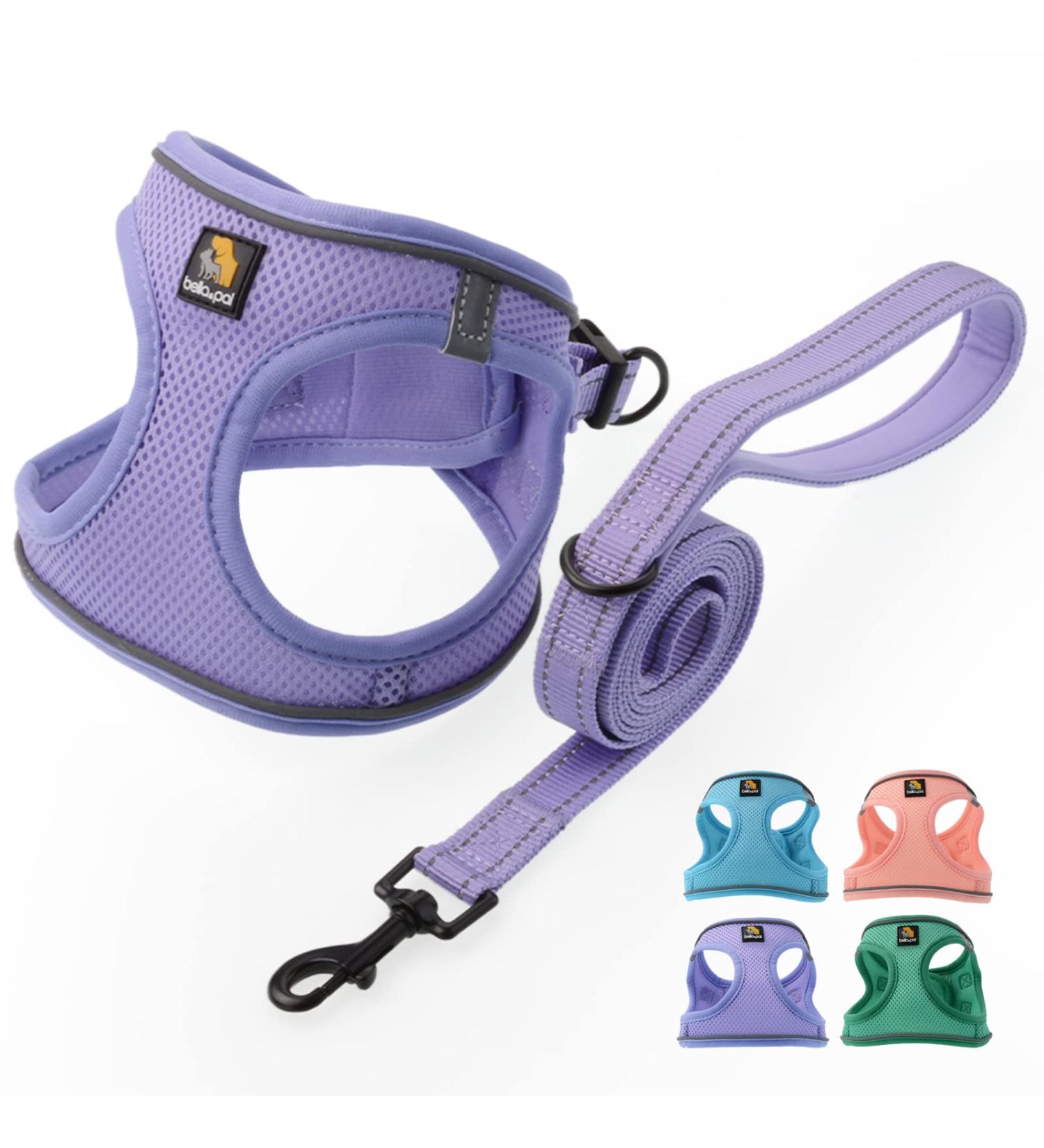Bella & Pal Dog Harness for Small Dogs with Leash - Reflective Breathable Air Mesh Step-In Design - Lavender (40-45cm Chest Size) - Perfect for Puppies & Cats - Buy Online on GoSupps.com