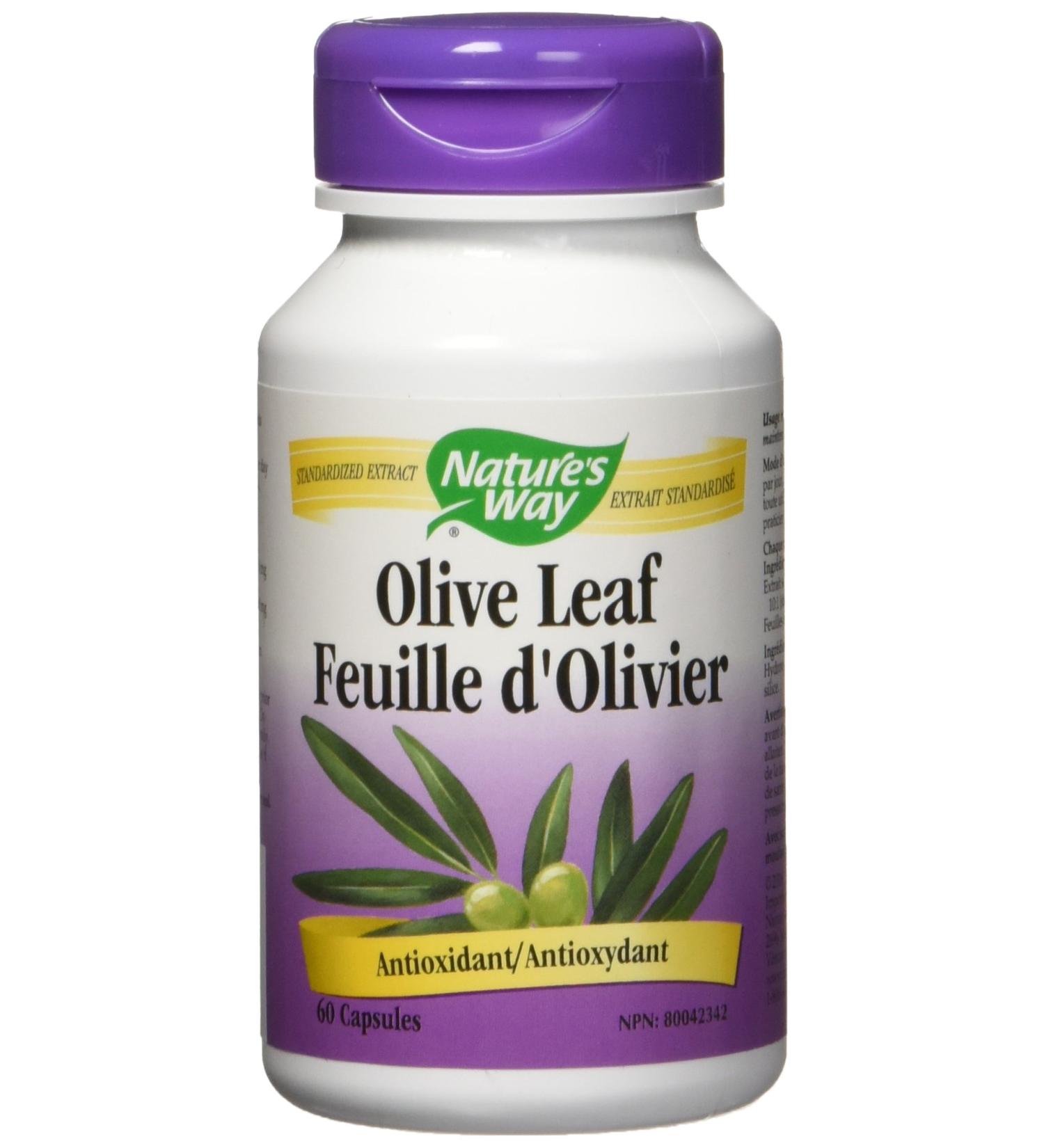 Nature's Way Olive Leaf Provides Antioxidants Diuretic - Standardized Extract - Premium Herbal Supplement - 60 Vegetarian Capsules Natural 60 count (Pack of 1) - Buy Online on GoSupps.com