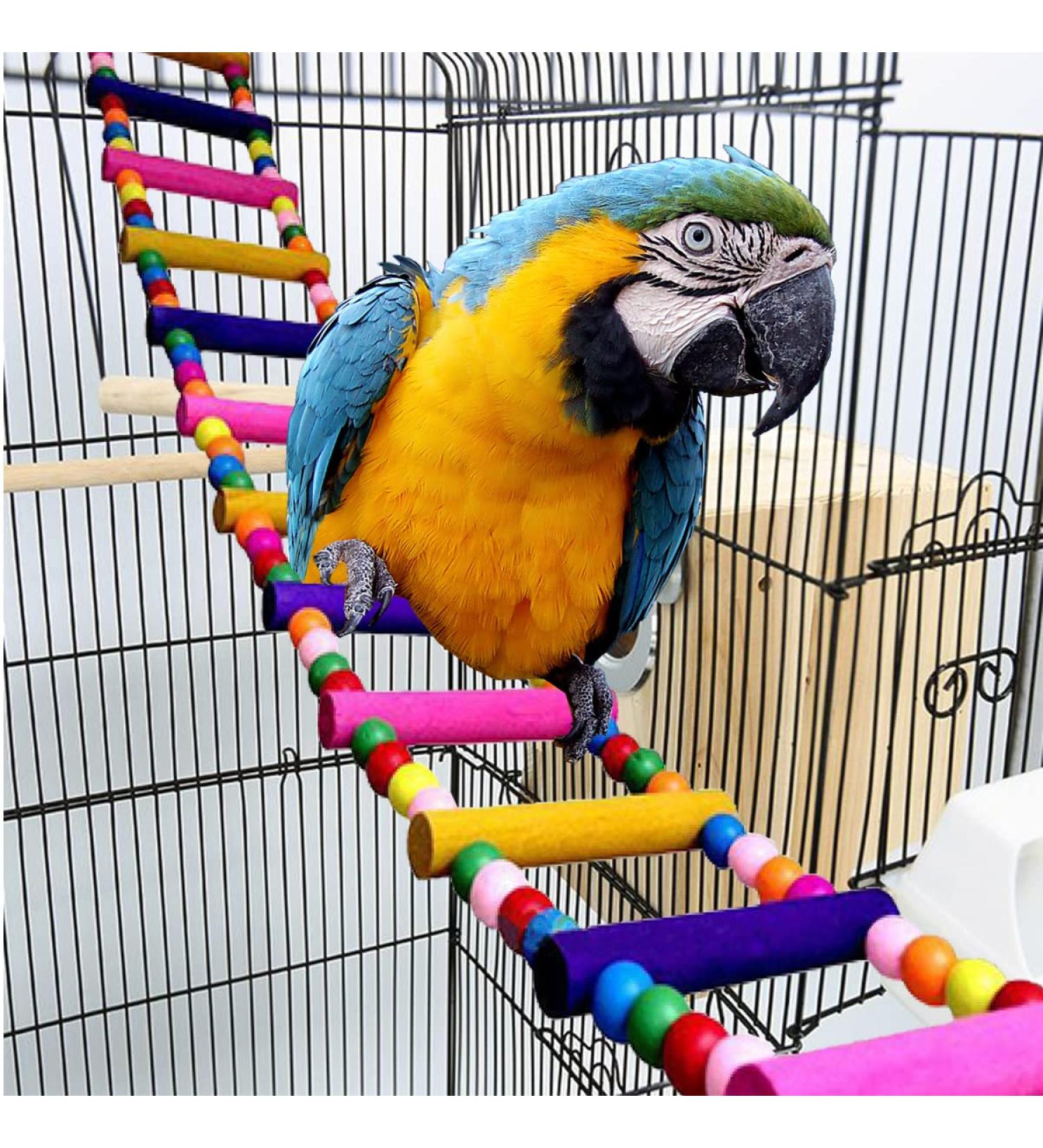 Pet Bird Parrot Toys: Ladders, Swing, Chewing Toys - Cage Accessories for Small Parakeets, Cockatiels, Conures, Macaws, Lovebirds, Finches - 18 Ladders, 44 inches - Buy Online on GoSupps.com