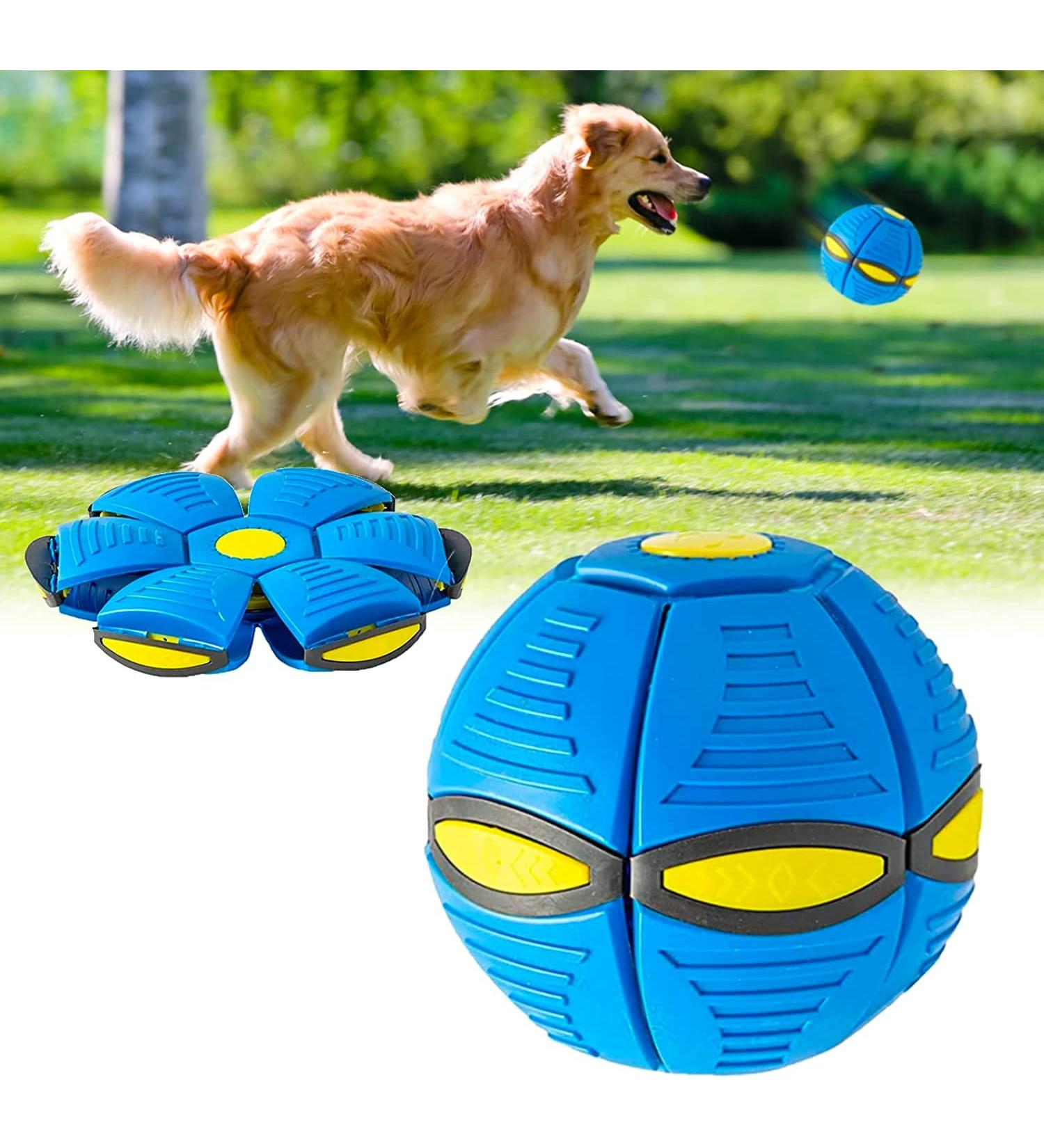 Yeahboom Frisbee Ball for Dogs | Premium Flying Dog Toy - Blue | Ideal Pet Frisbee & Ball Toys for Interactive Play - Buy Online on GoSupps.com