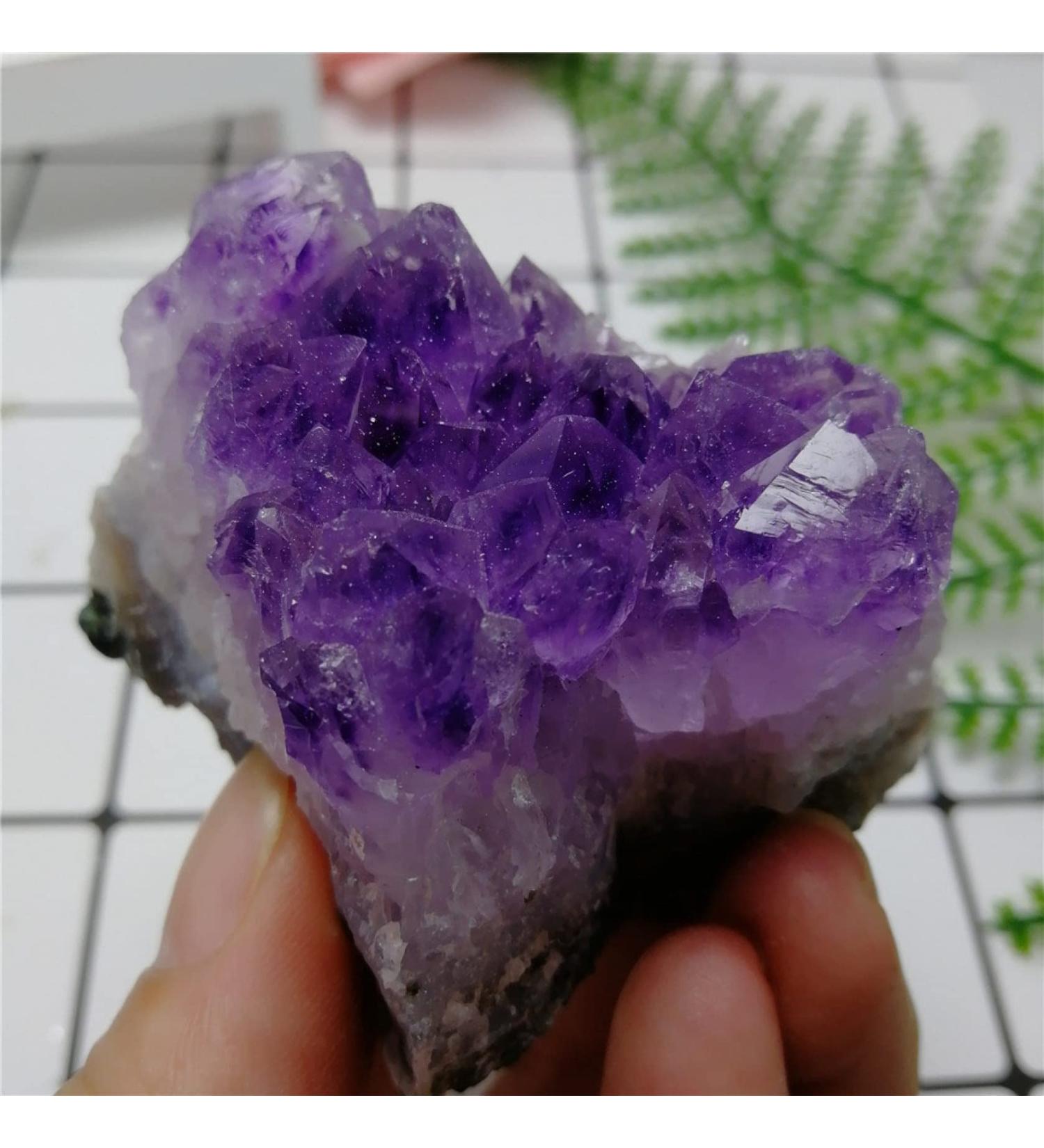 Natural Dream Amethyst Quartz Crystal Cluster Amethyst Geode Specimen Suitable for Home Garden Decor Crystal Cluster (Color : Amethyst Size : 100g) 100g Amethyst - Buy Online on GoSupps.com