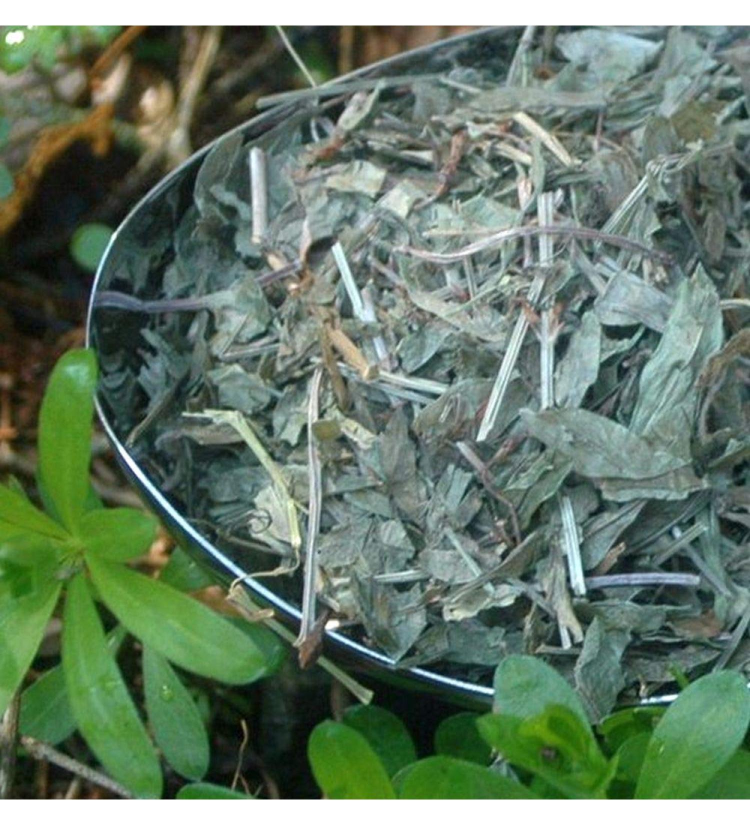 Krauterino24 Krauterino24 - Forest Cup - Master of the Forest Tea (100 g)