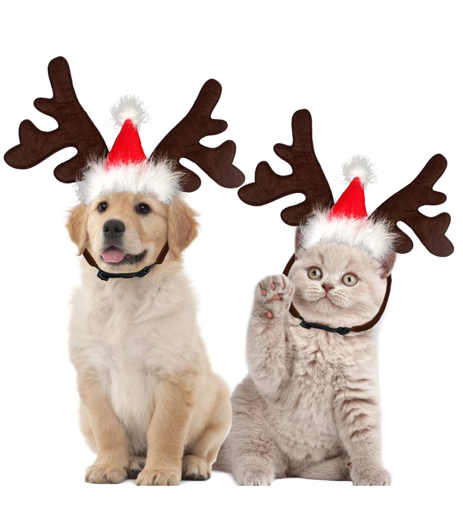 Shop Lynbly Christmas Reindeer Headband for Pets | Adjustable Cat & Dog Headgear with Santa Hat - Buy Online on GoSupps.com