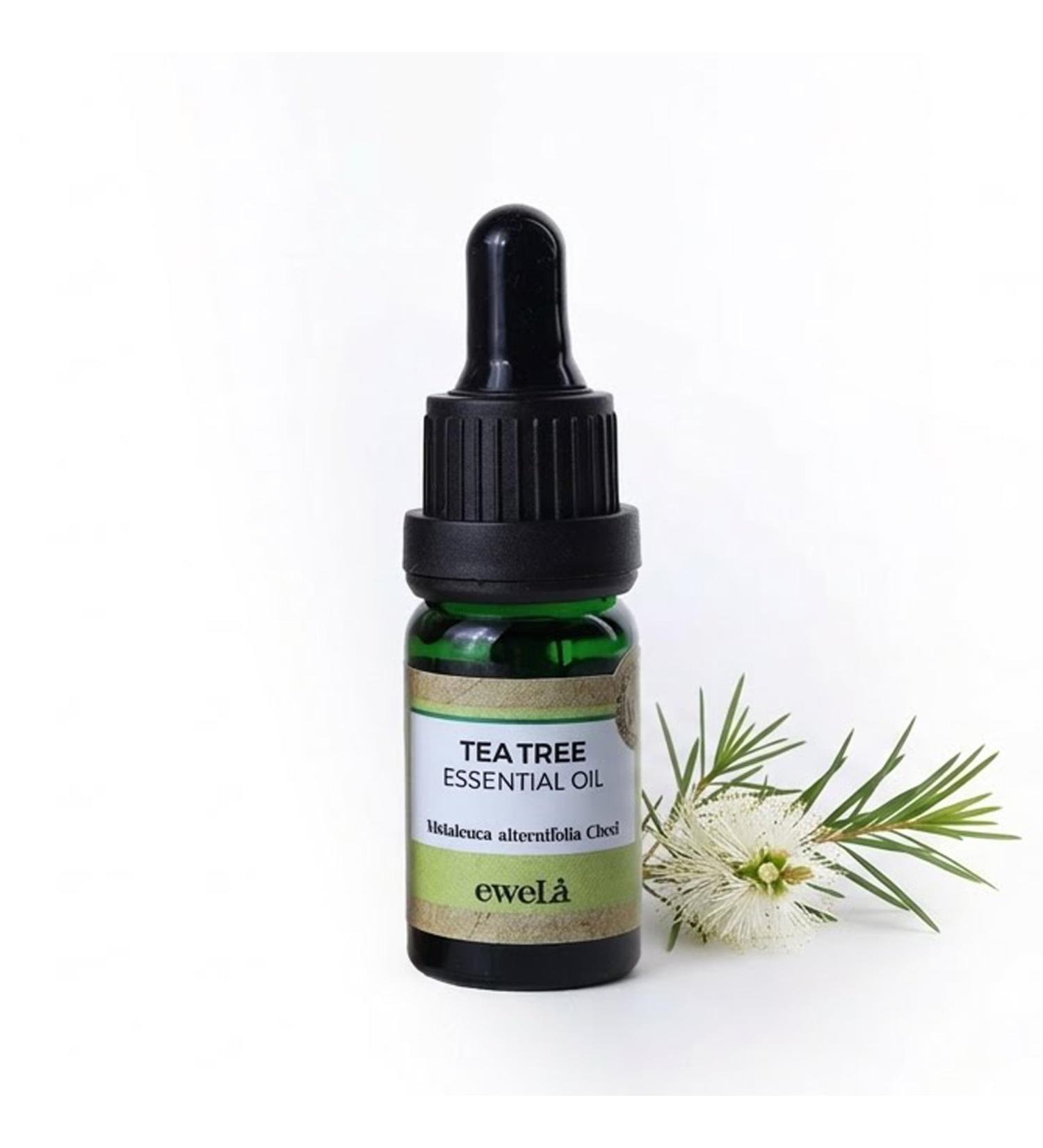 Ewela Tea Tree Essential Oil 100% Pure Steam Distilled 0.34 Fl Oz Aromatherapy Relaxation All Seasons Cruelty Free - Buy Online on GoSupps.com
