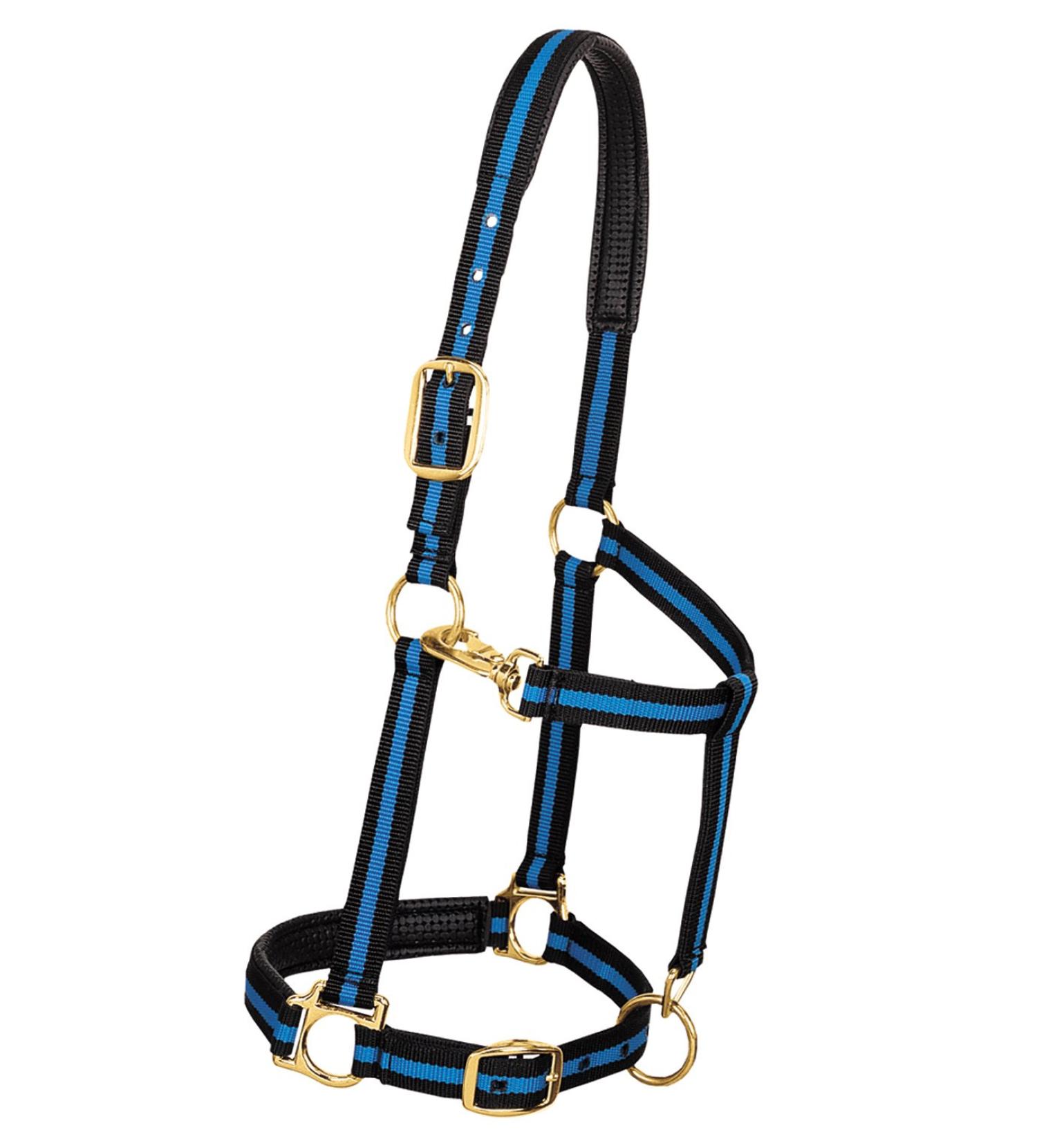 Weaver Leather Padded Adjustable Nylon Horse Halter 1" Average Horse Blue/Black