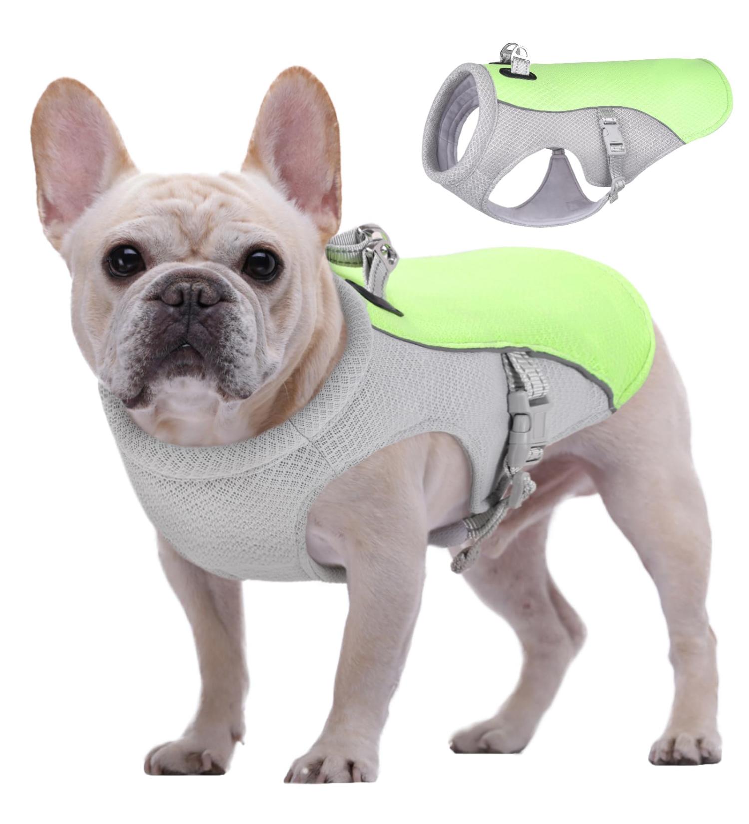 Kuoser Cool Vest for Dogs | Breathable & Reflective Cooling Coat for Small & Medium Dogs | Perfect for Hot Summer Days & Outdoor Activities - Buy Online on GoSupps.com