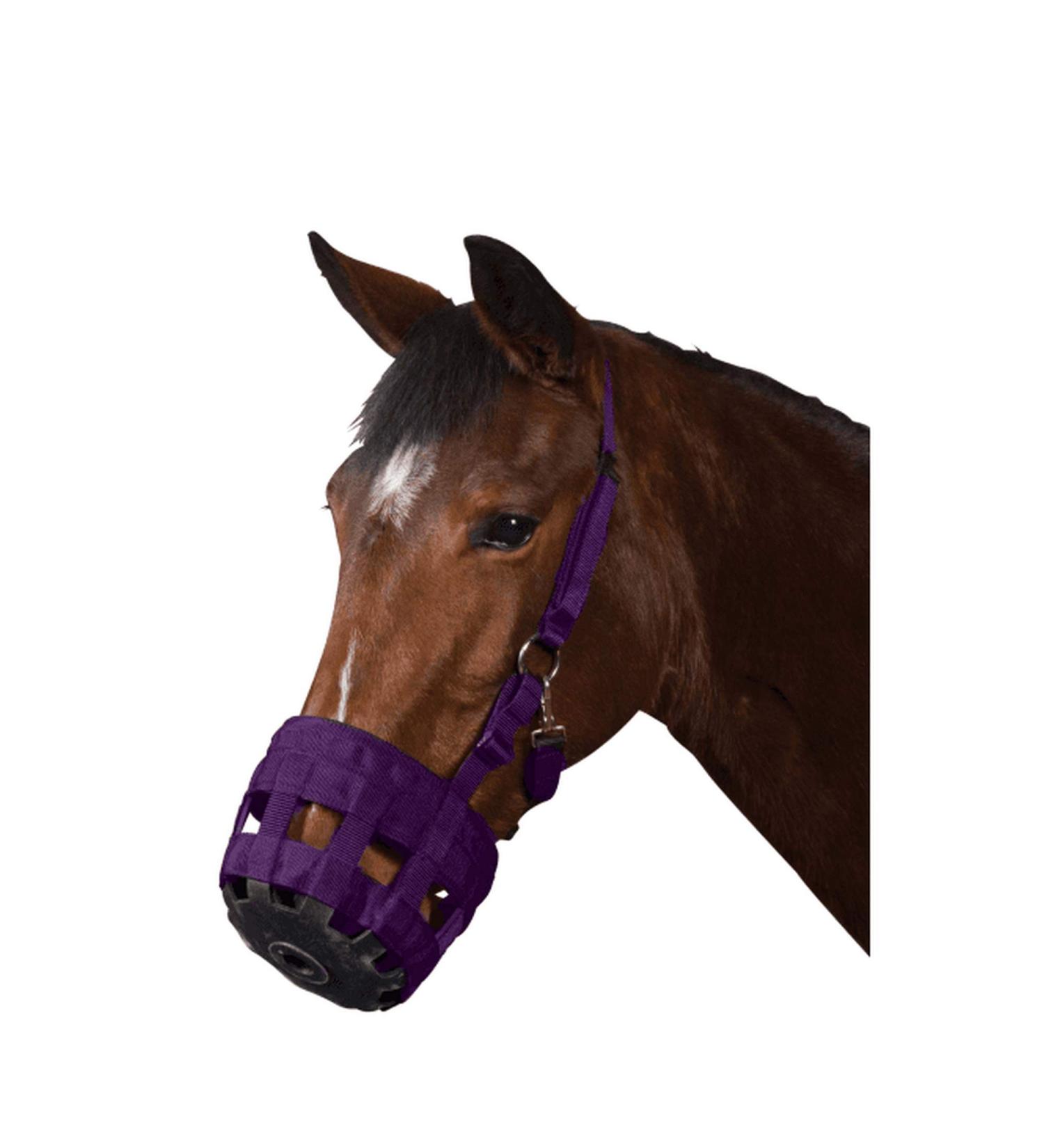 Roma pasture muzzle full violet