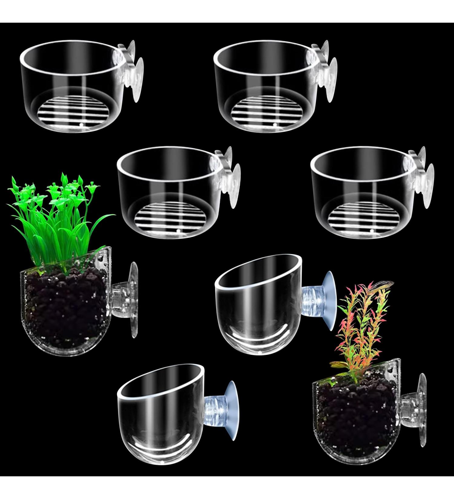 Buy PIZSIEAT 8-Piece Aquarium Plants Set | Suction Cup Decorative Glass Pots for Mini Fish Tanks & Aquatic Landscapes - Buy Online on GoSupps.com