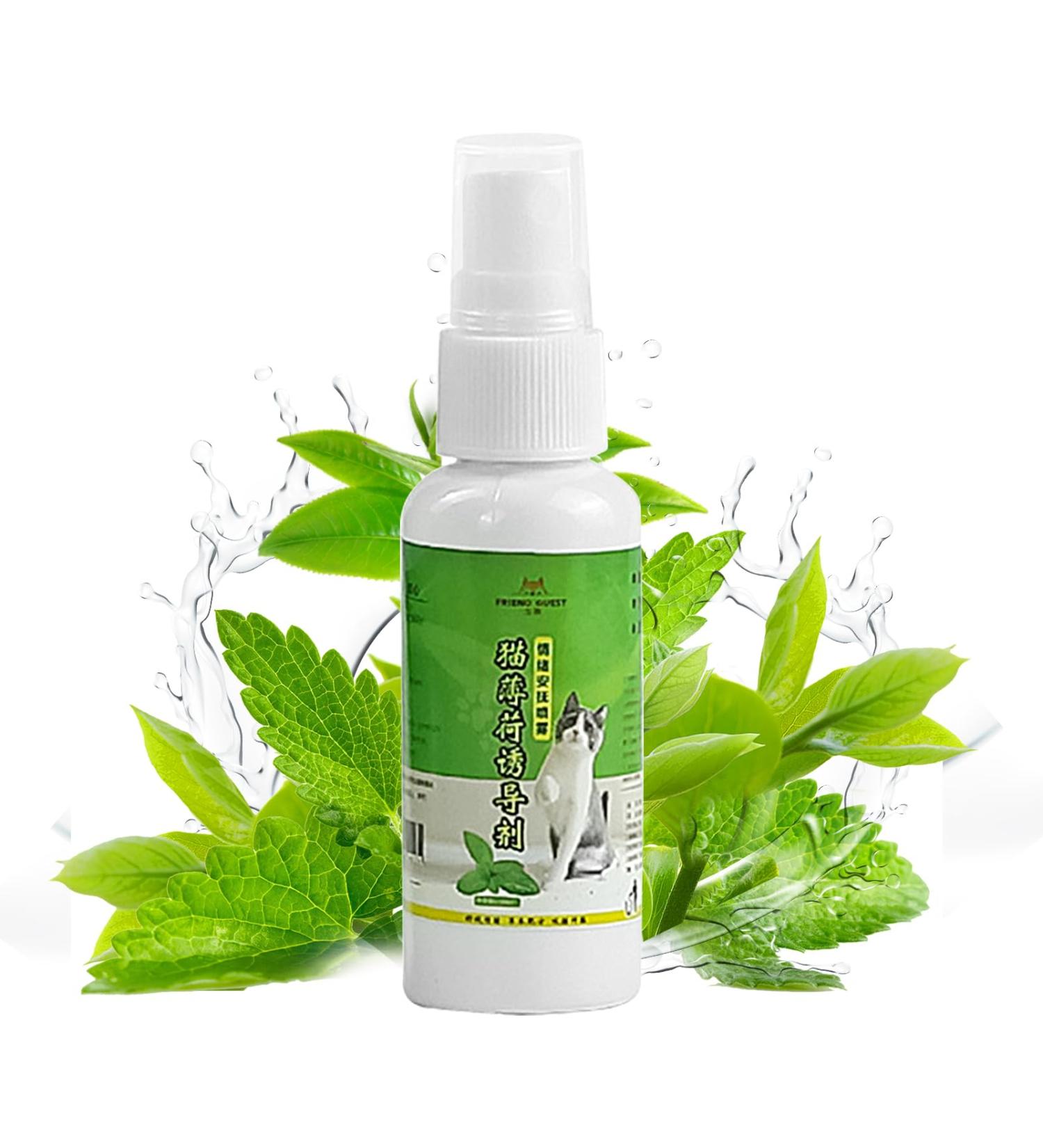 Cat Catnip Spray - Natural 50ml Catnip Spray - Cat Accessories for Indoor Cats Cat Catnip for Indoor/Outdoor Use for Training Redirecting Behaviors Frifer - Buy Online on GoSupps.com