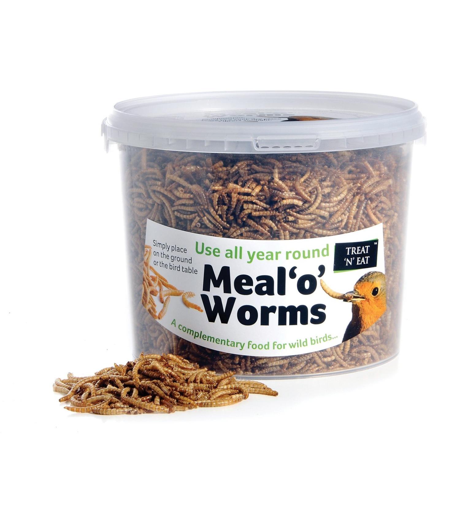 Treat n Eat Meal Worms 1 litre