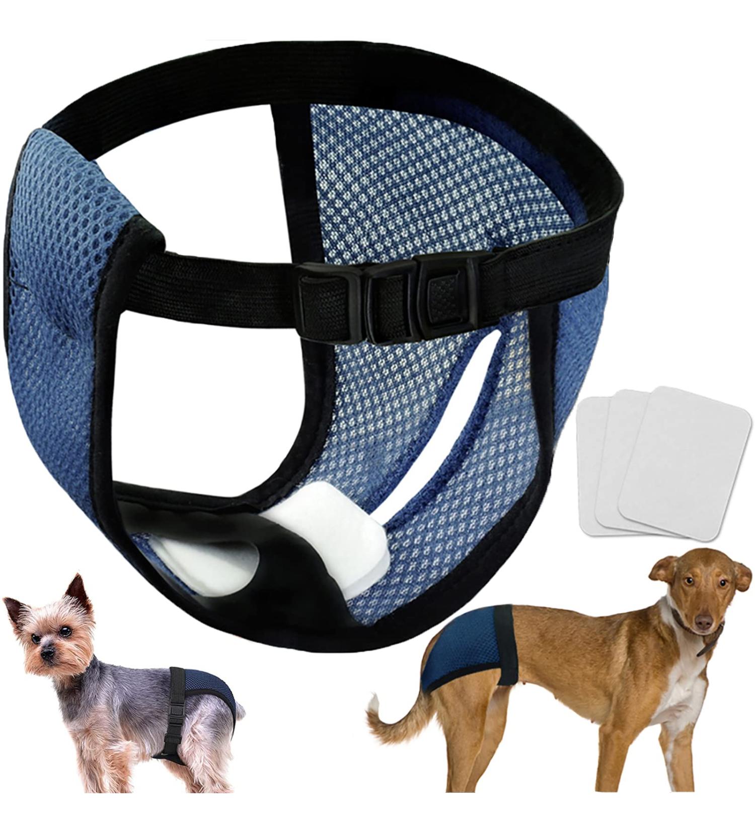 Buy Leaving 2 Pack Washable Mesh Filter Pants for Dogs - Comfortable & Durable - Buy Online on GoSupps.com