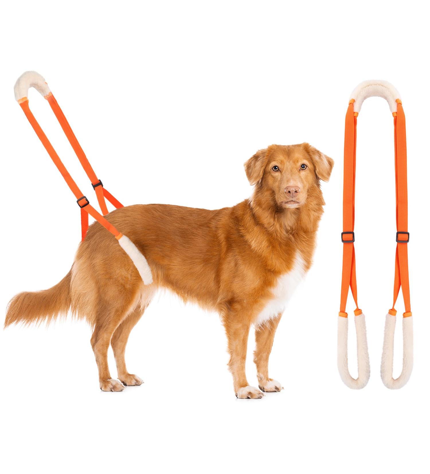 Shop Lollanda Walking Aid for Dogs - Support Mobility for Sick & Older Dogs | Orange Wearable Aid & Dog Dishes - Buy Online on GoSupps.com