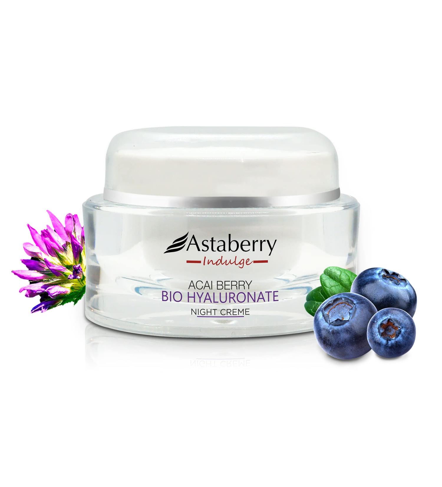 Acai Berry Night Cream | Anti-Aging Hydrating Moisturizer with Bio Hyaluronic Acid & Bakuchiol | Lightweight Non-Allergic Formula for Reducing Pigmentation Fine Lines & Wrinkles - Buy Online on GoSupps.com