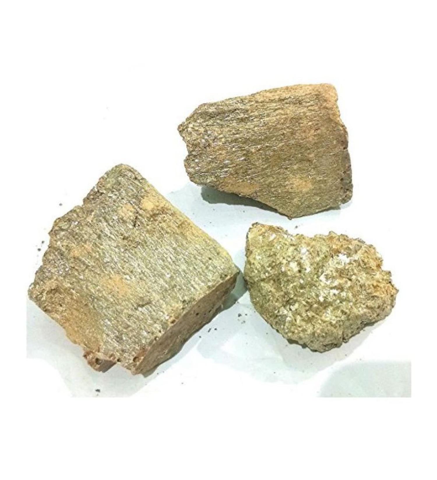 RAW HERBS/JADI BOOTI DRIED MURDASINGI MURDAR SINGH MURDAR SENG LITHARGE (100gm) - Buy Online on GoSupps.com