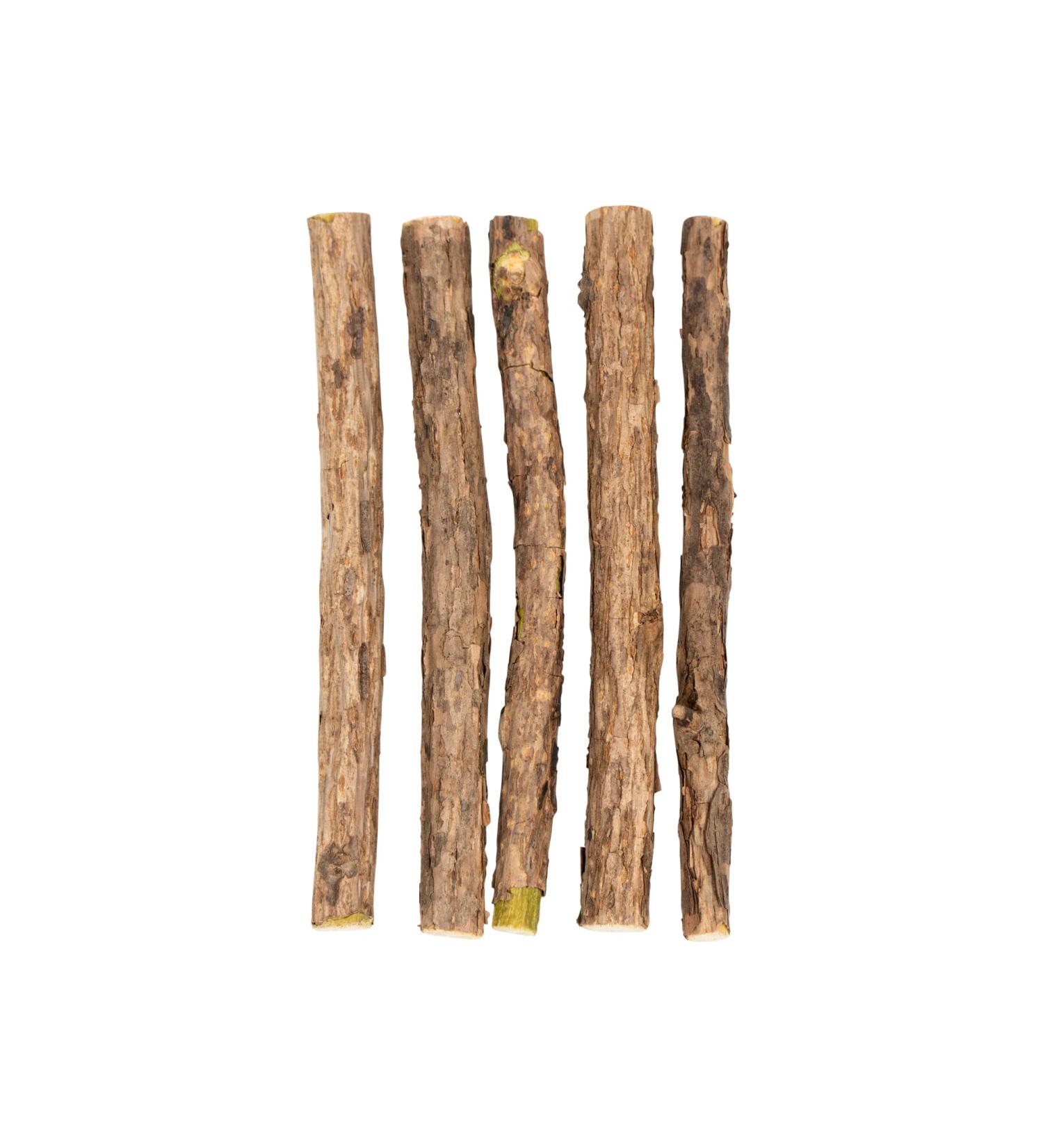 Buy Petnext 5 Matatabi Sticks | Natural Dental Care for Cats | Reduces Tartar & Plaque | Essential Oil Cat Toys | Freshness-Sealed - Buy Online on GoSupps.com