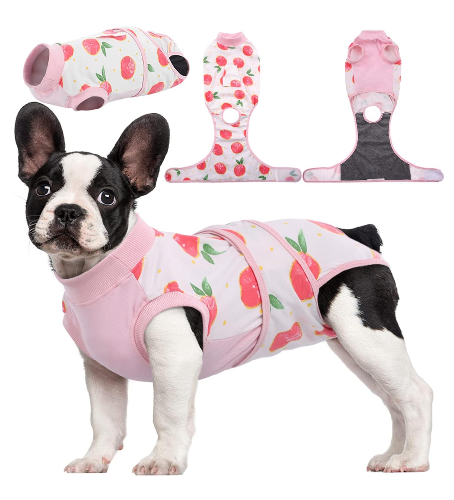 Kuoser Dog Recovery Body Suit for Male Dogs - Post-Op Protection Breathable Anti-Licking Leakage Control - Pink Size S (1 Pack) - Buy Online on GoSupps.com