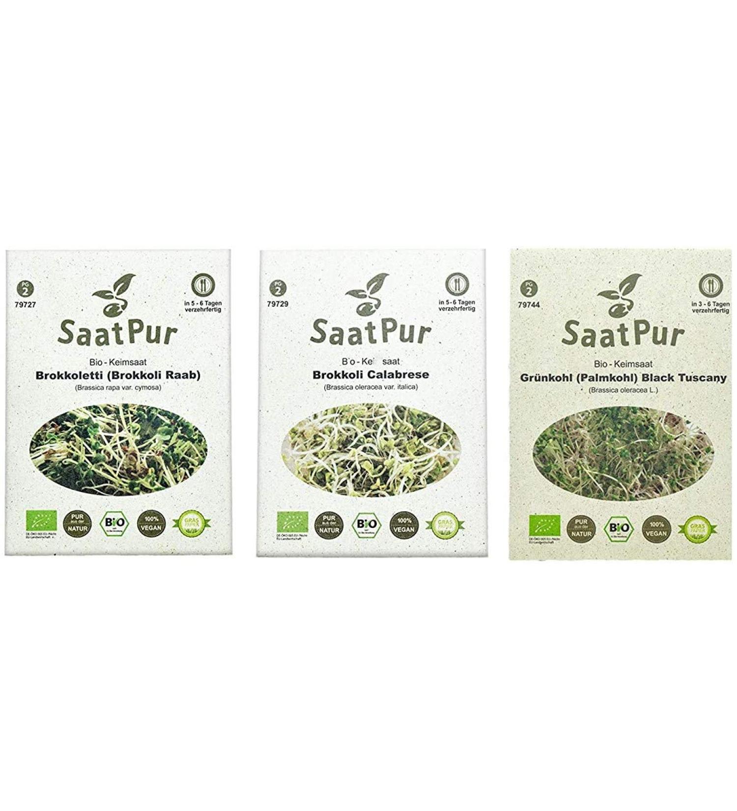 SaatPur ORGANIC Sprouts Assortment - 3 Varieties of Sulforaphane Mix: Broccoli Brokoletti & Kale - Premium Healthy Superfood for International Shipping - Buy Online on GoSupps.com