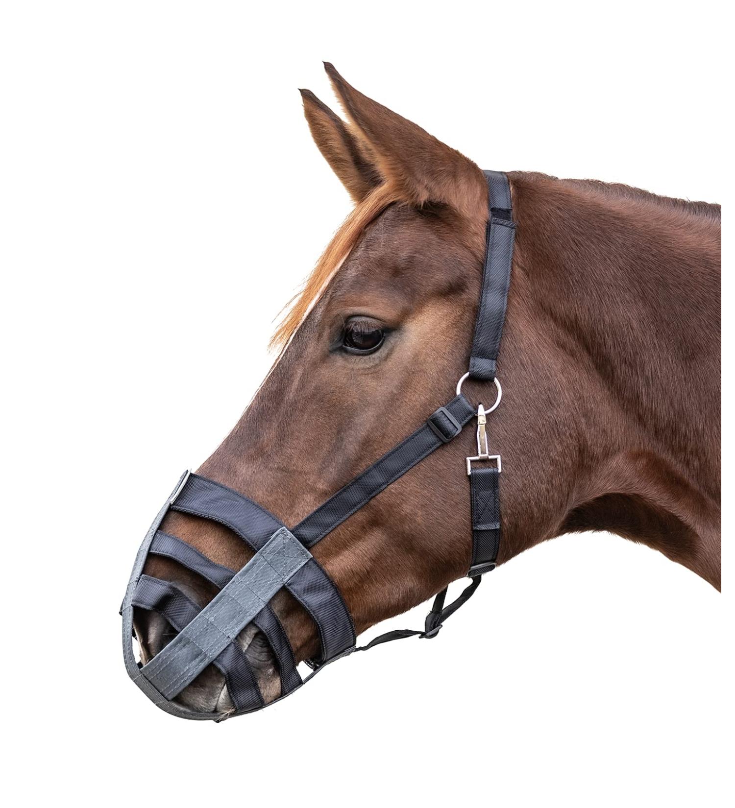 WALDHAUSEN textile muzzle SH black Shetty